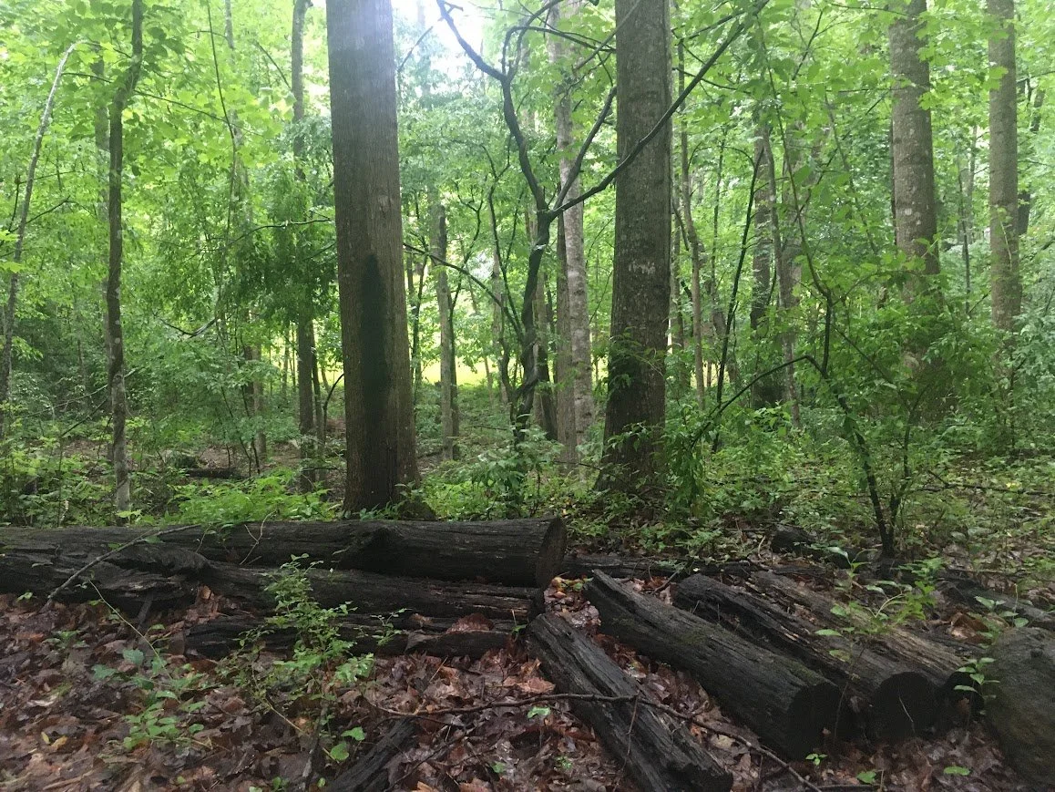 Mill Creek Stewardship Area