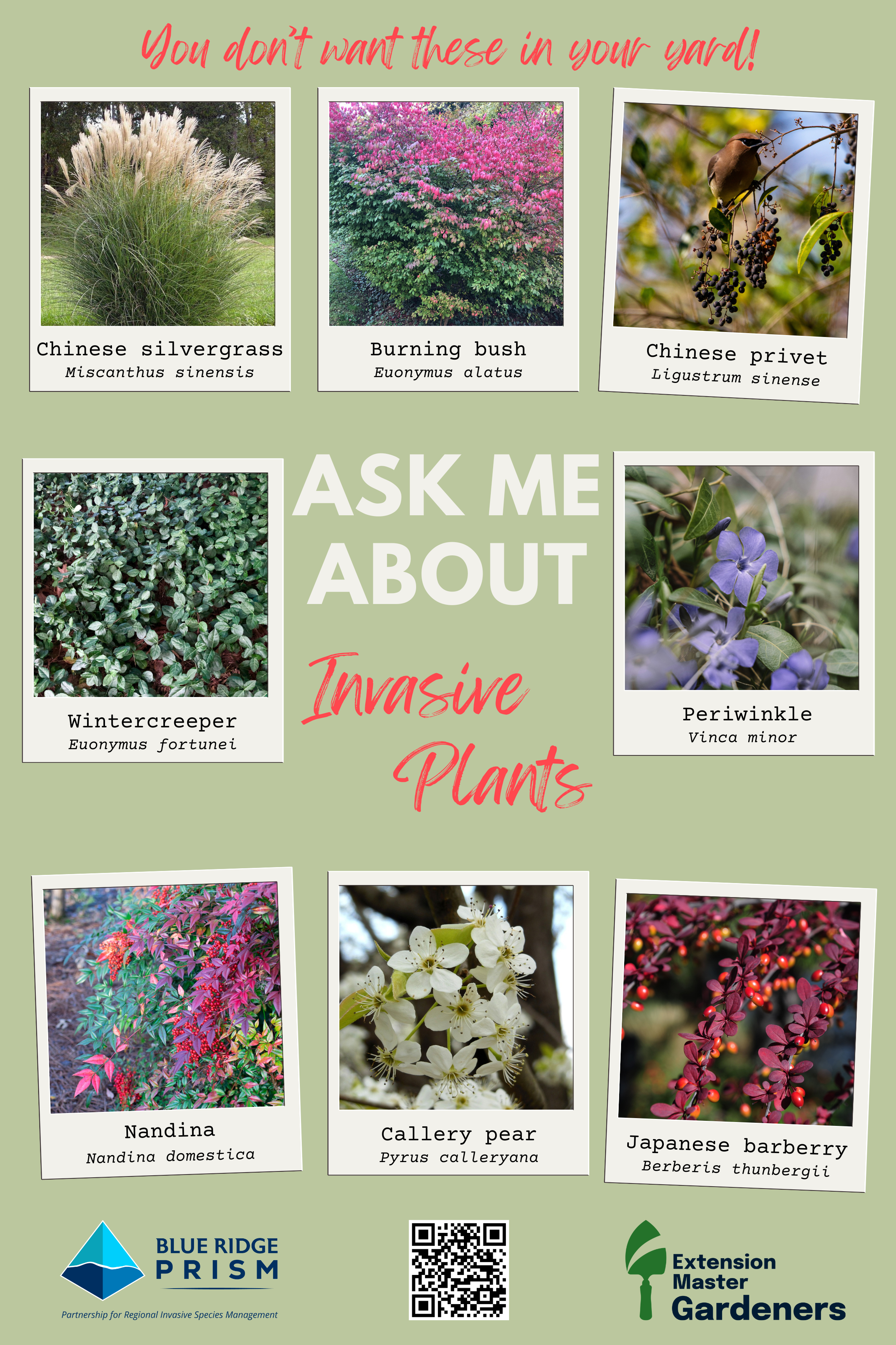Virginia Master Gardeners Poster