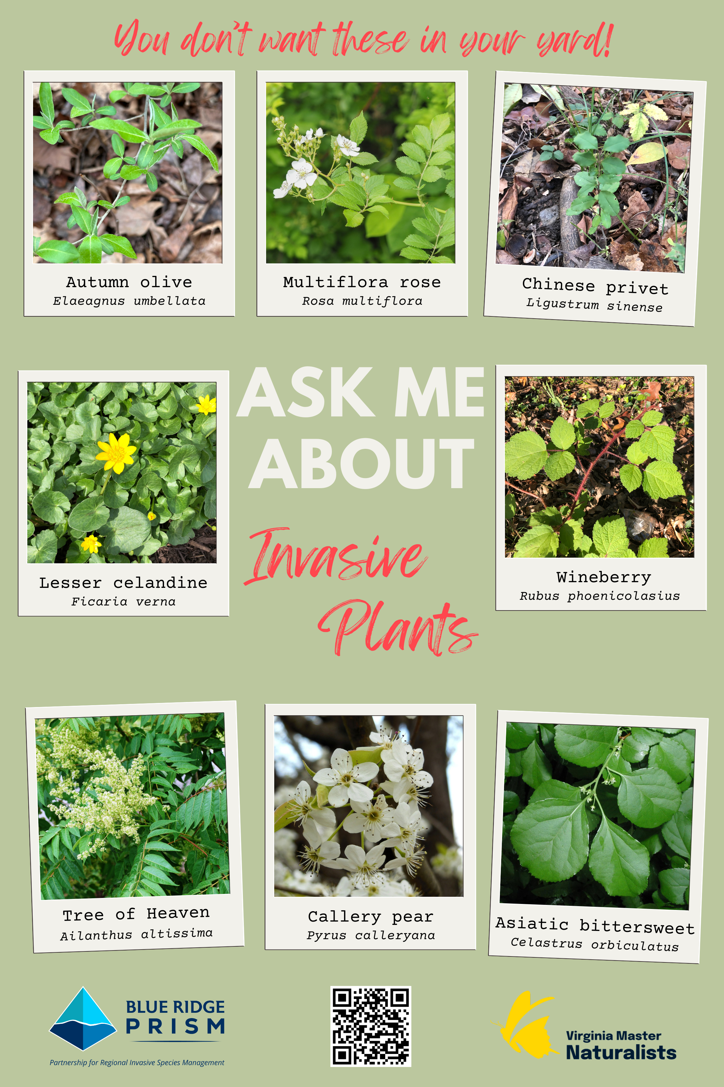 Virginia Master Naturalists Poster