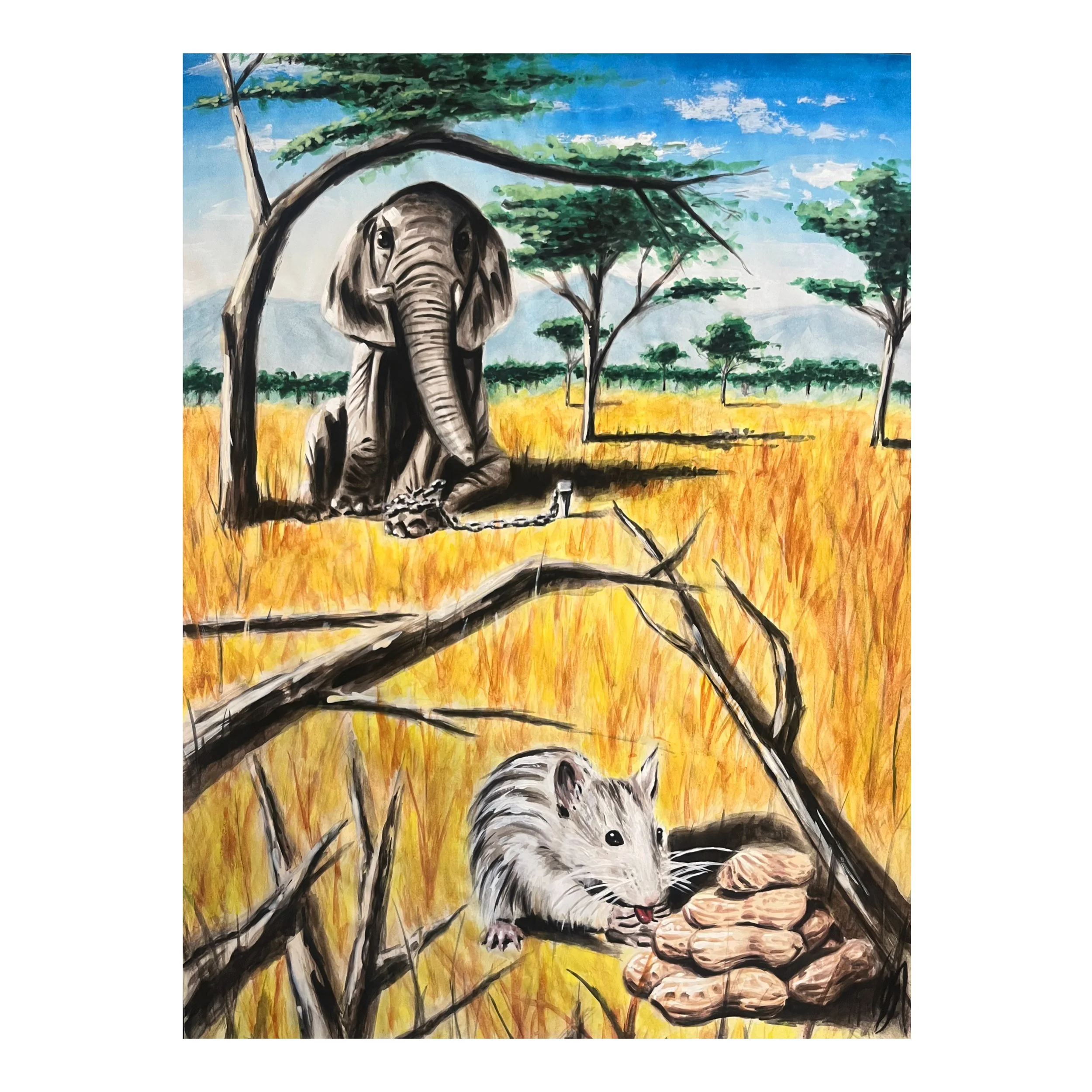 FEB0FD7C-3790-4739-A3BE-36EFE0AFB427 (1).JPEG