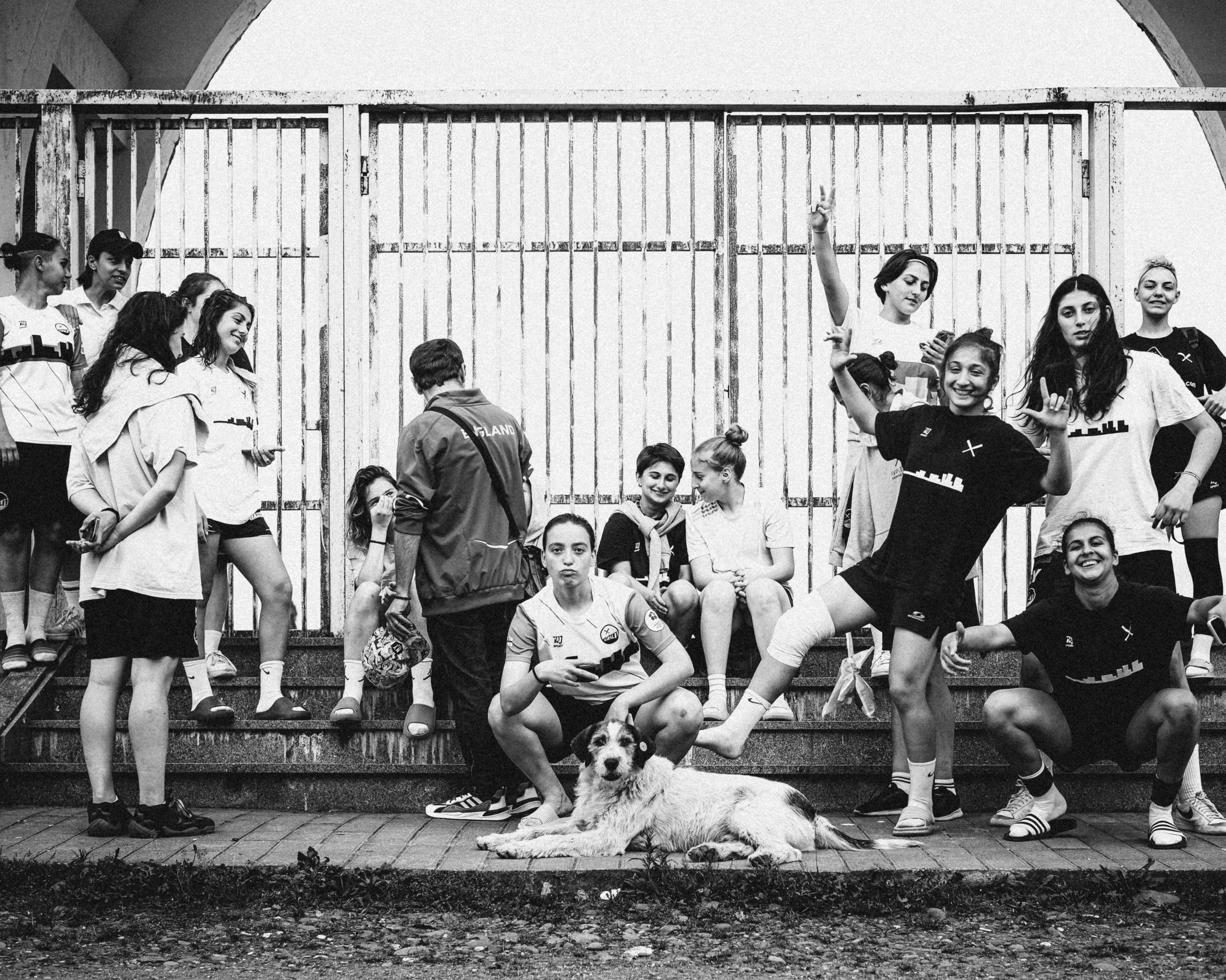 Find a dog, make a picture. That's the law. 