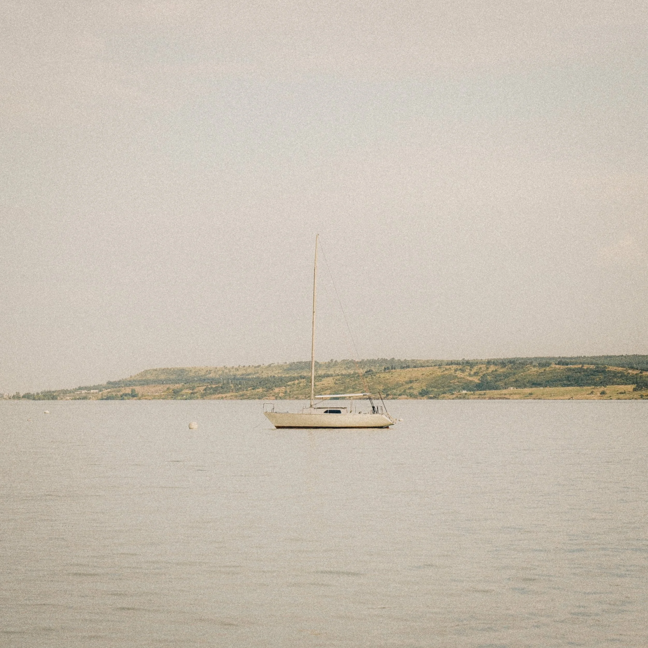 DSCF8406.jpg