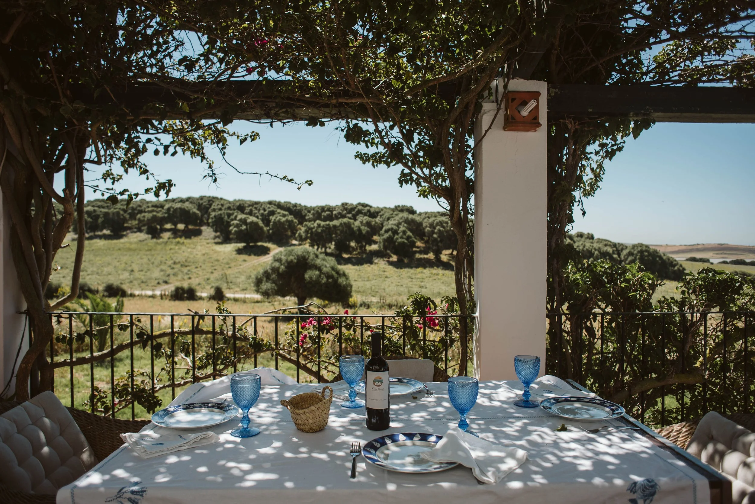 FINCA-NEVADA-CARMEN-KAHLO59.jpg
