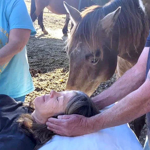 Equine Reiki at Airy Hill Stables