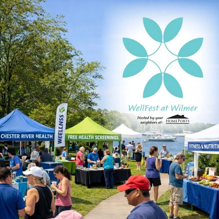 Wellfest image