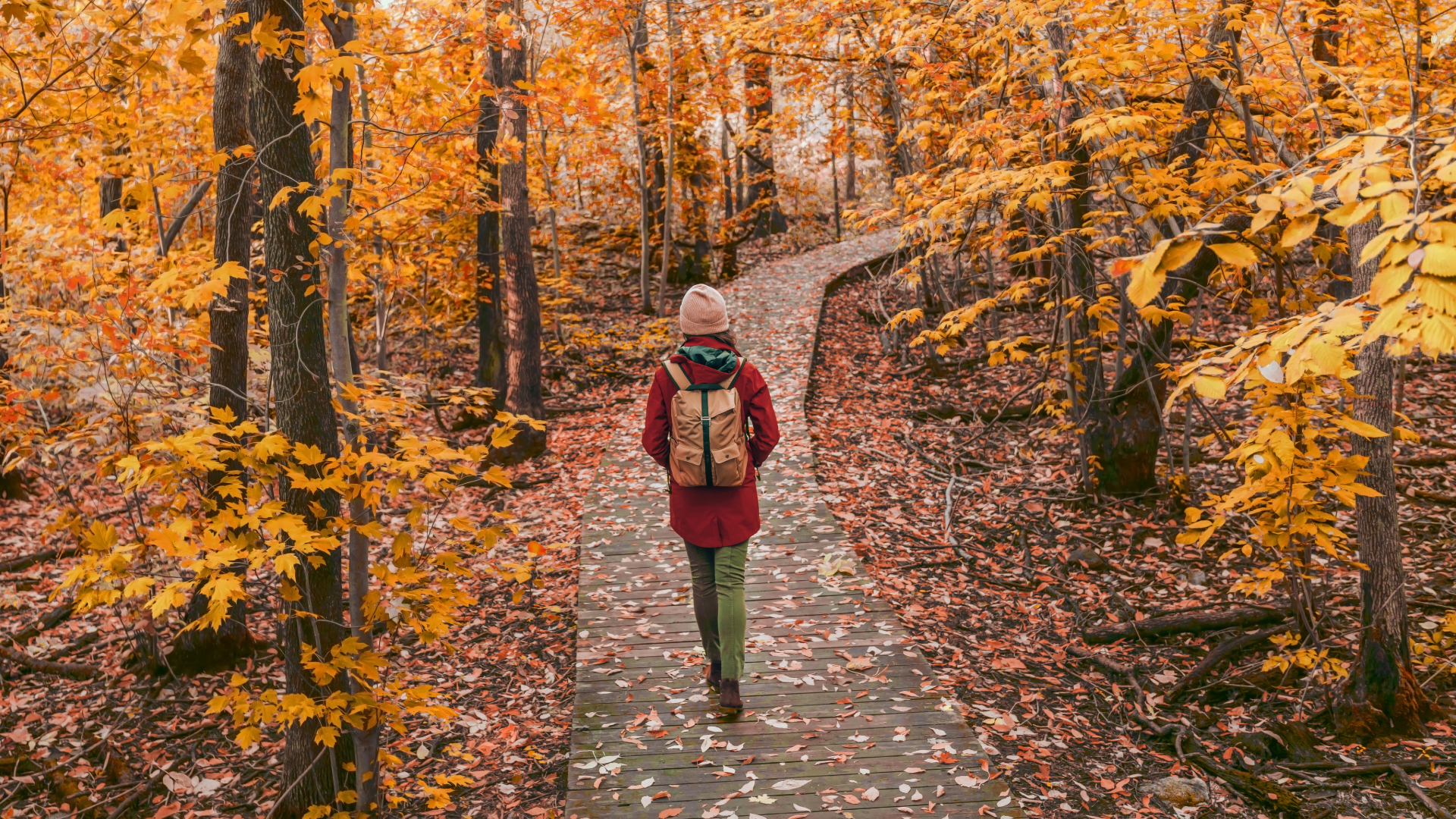 Fall Wellness: Supporting the Lung &amp; Large Intestine 