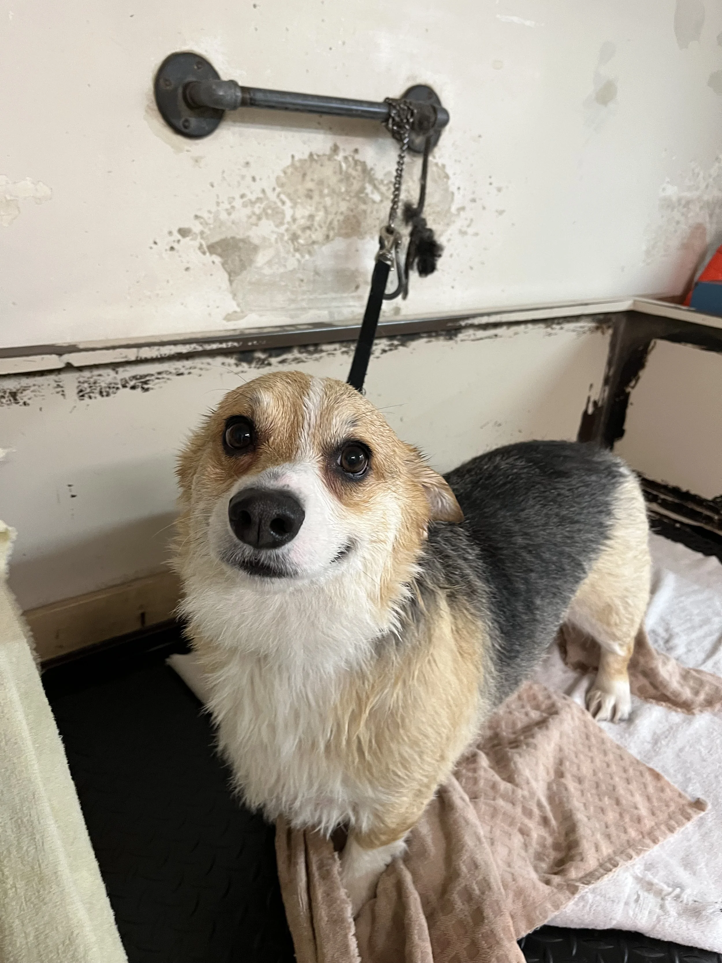 IMG_7399_Original (1).jpeg