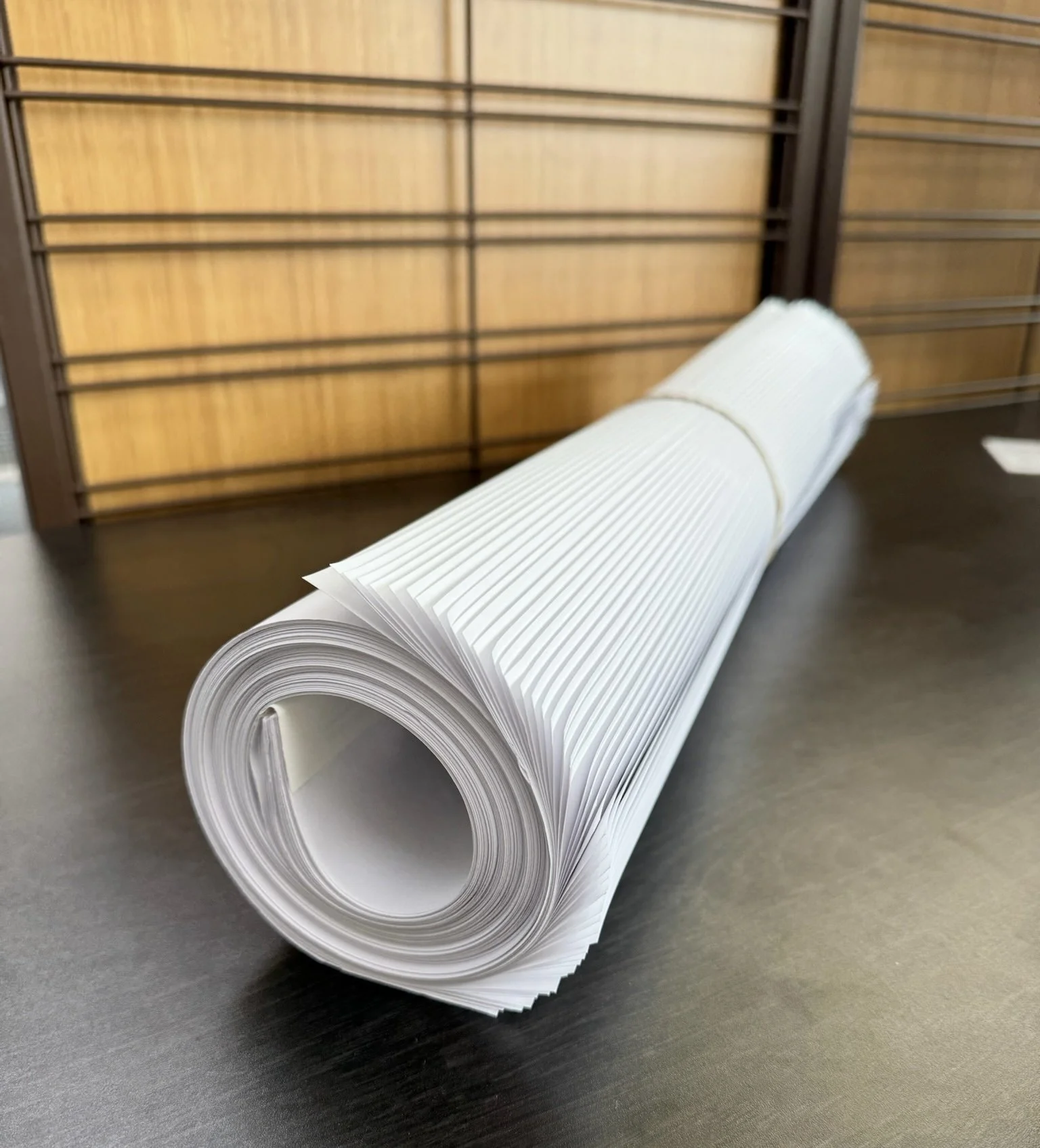 Large-format blueprint and construction plan printing in Houston by Memorial Postal Center for architectural, engineering, and building projects.