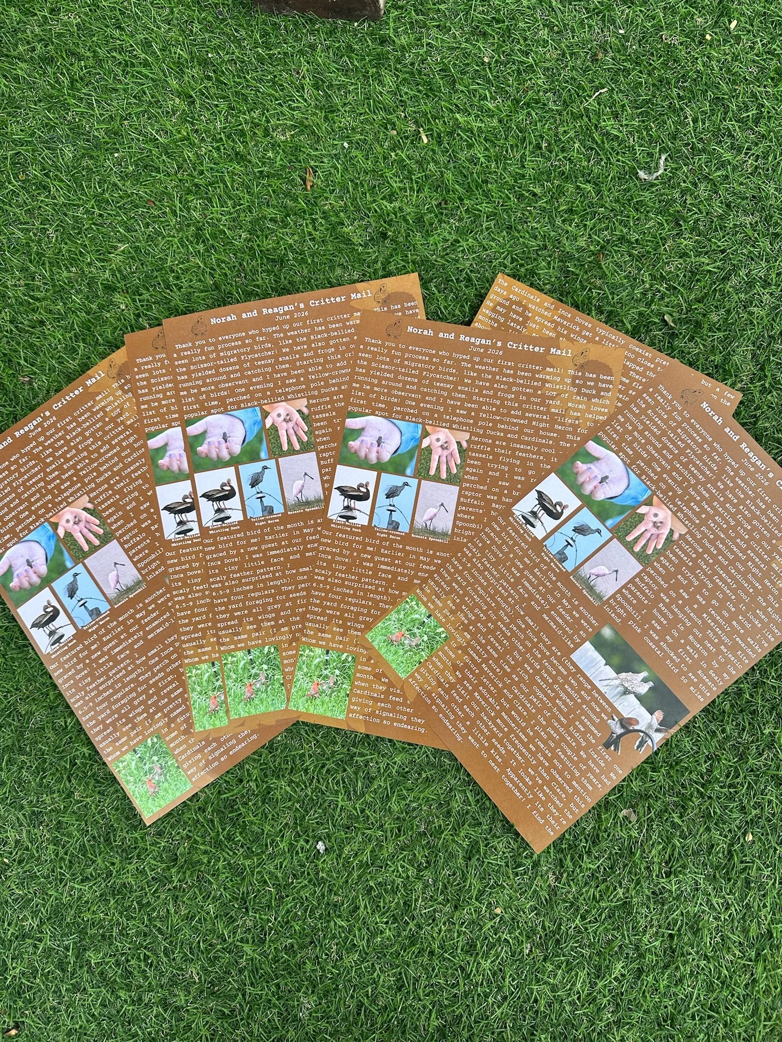 Custom promotional flyer printing in Houston, TX by Memorial Postal Center for businesses, events, and marketing