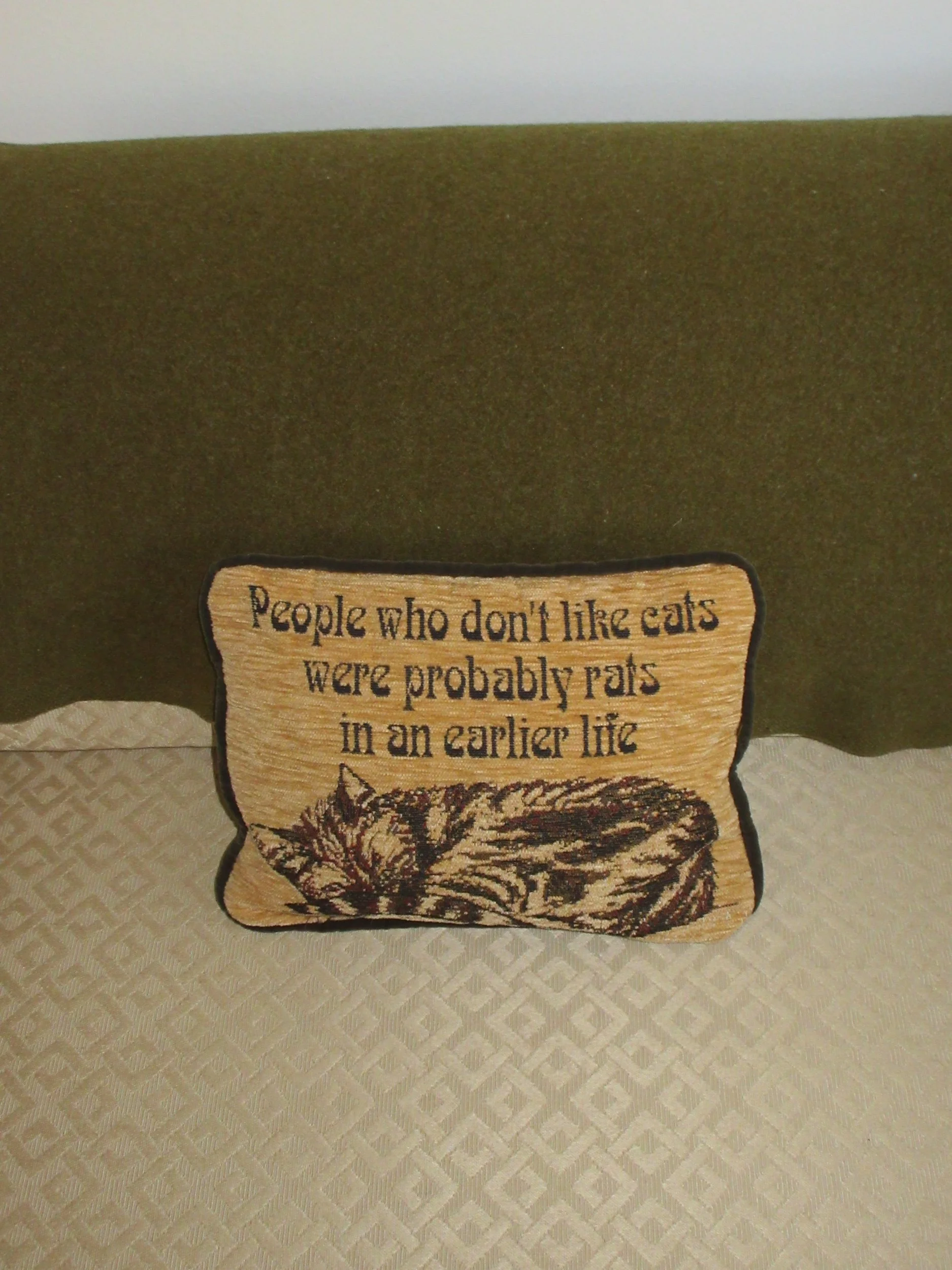 Cat Pillows