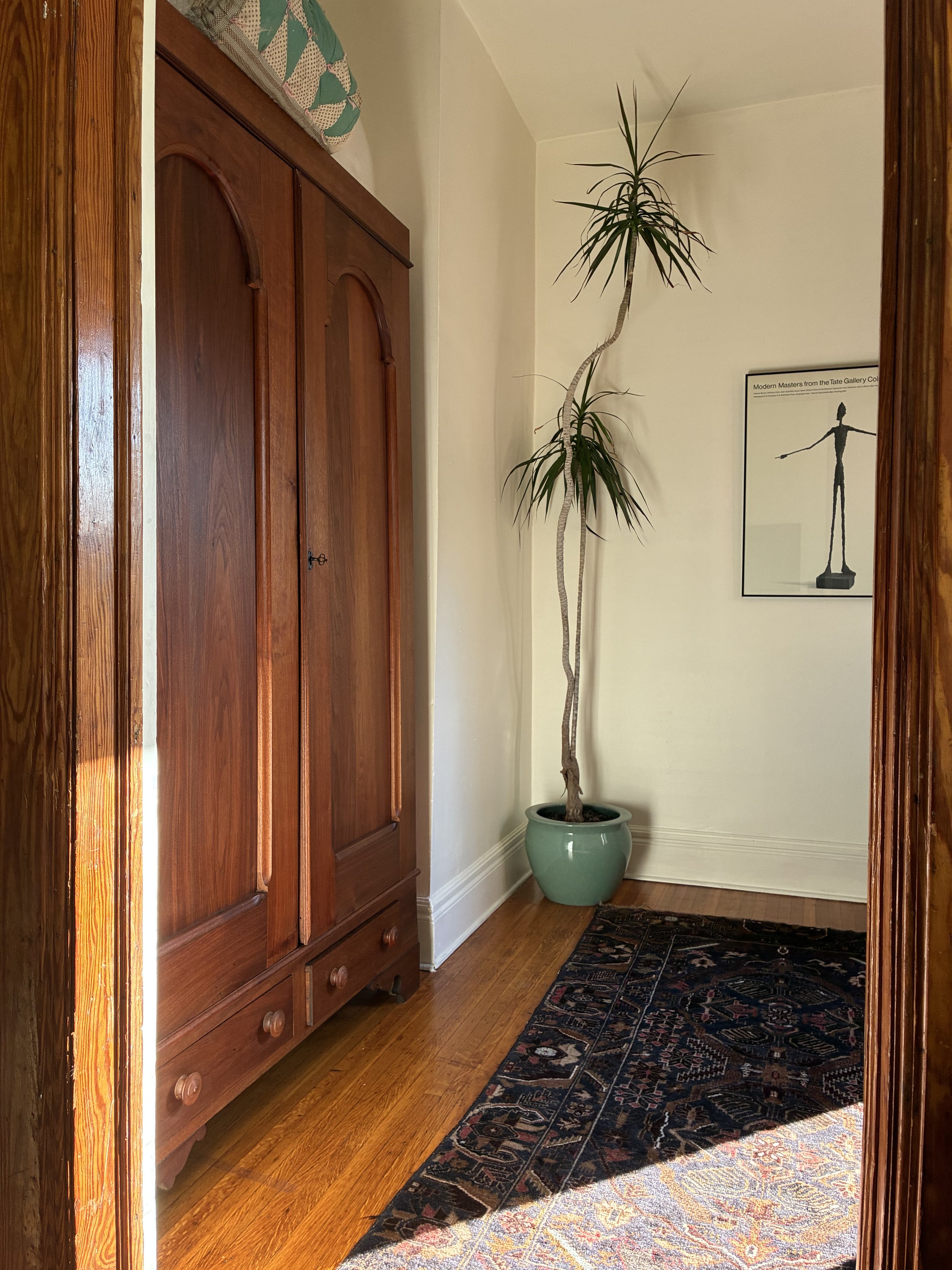 An interior hallway with a tall potted plant, a wooden wardrobe on the left, a framed picture on the right wall, and a patterned rug on a hardwood floor.