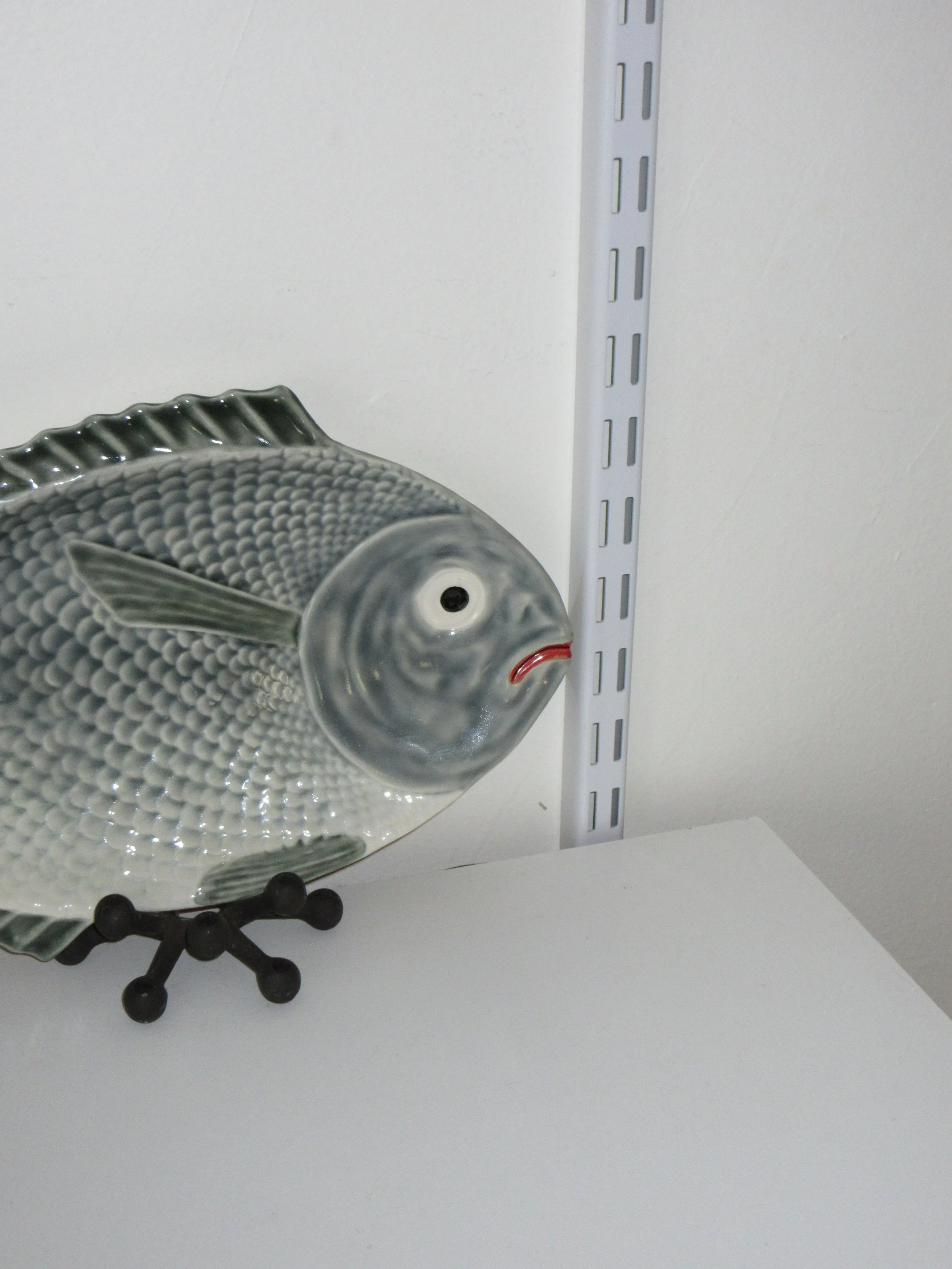 IMG_7325.jpeg