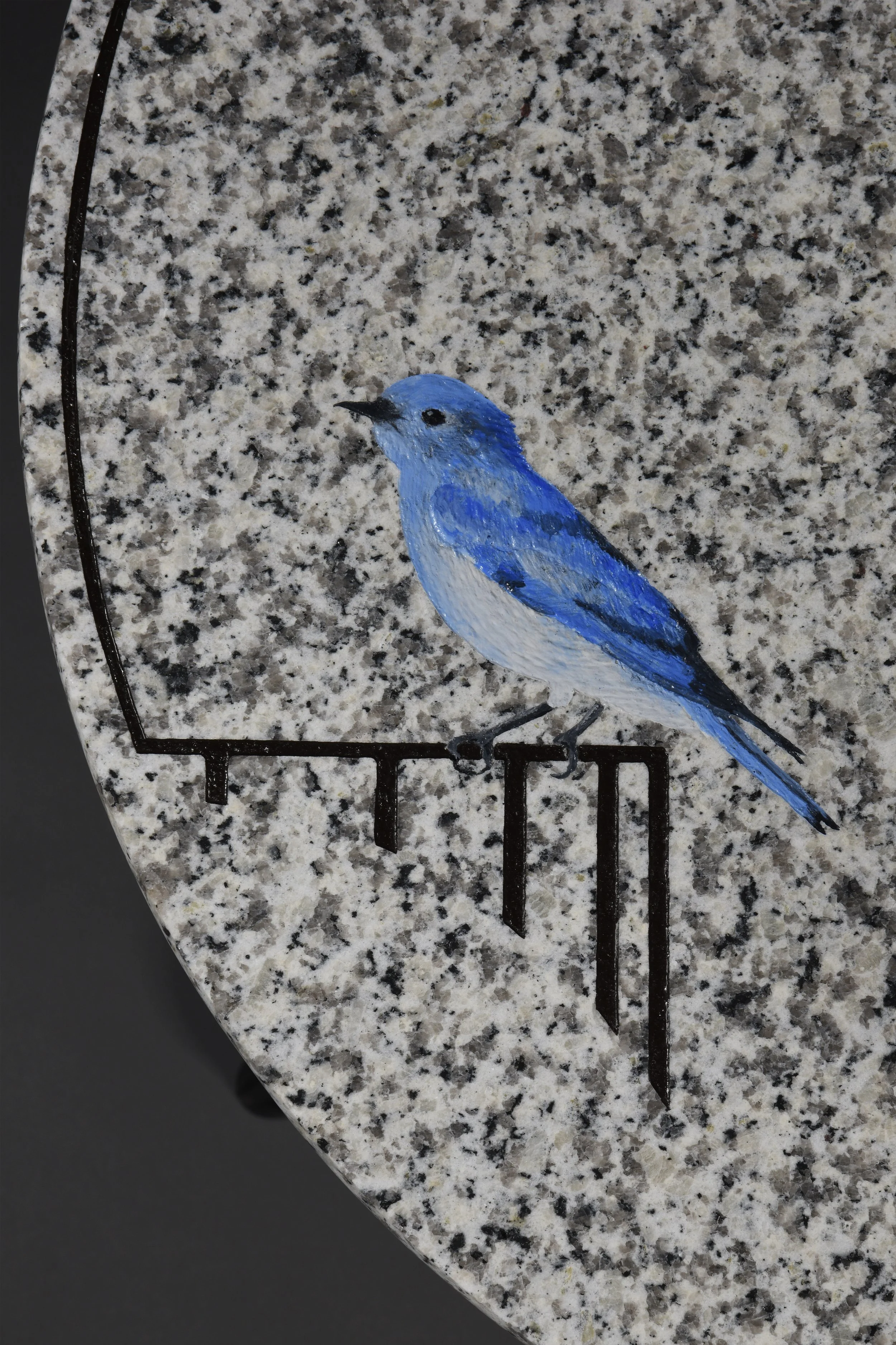 Bluebird 1.jpg