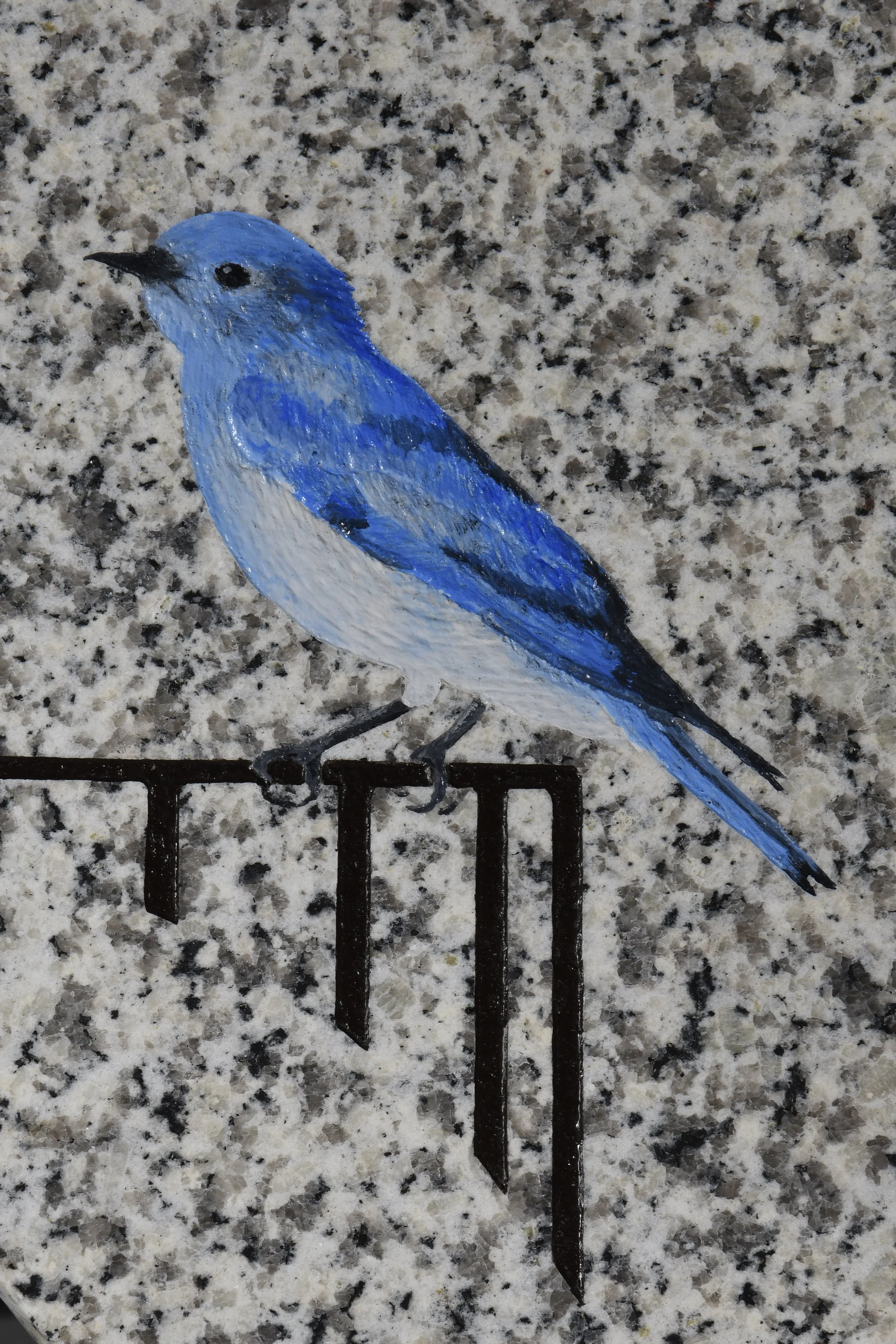 Bluebird 1.2.jpg