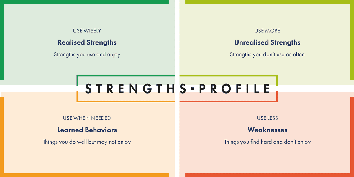 Strengths-Profile-Assessment and Debrief