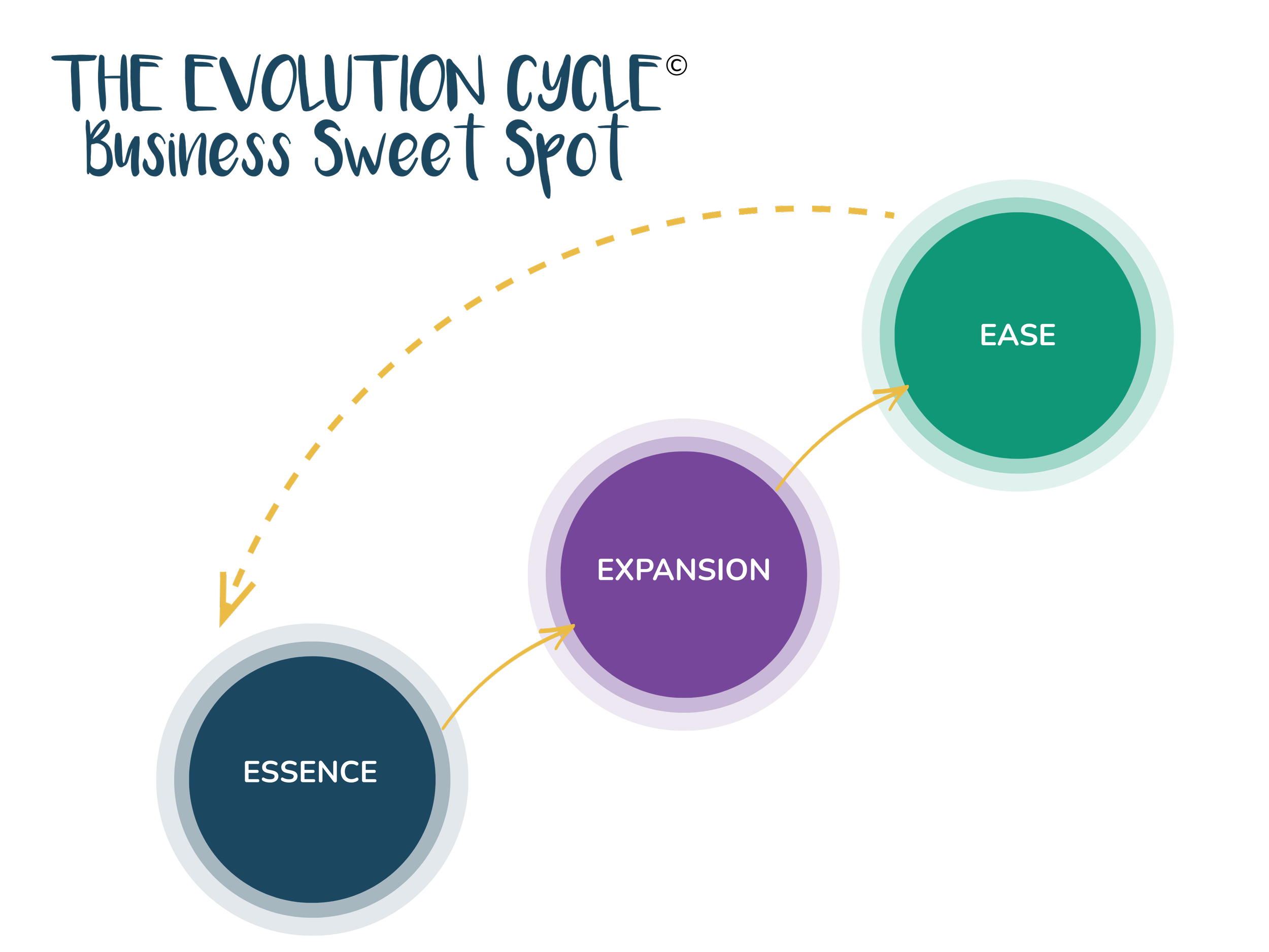 The Evolution Cycle - Business Sweet Spot   - Angela Raspass & Leanne O'Sllivan