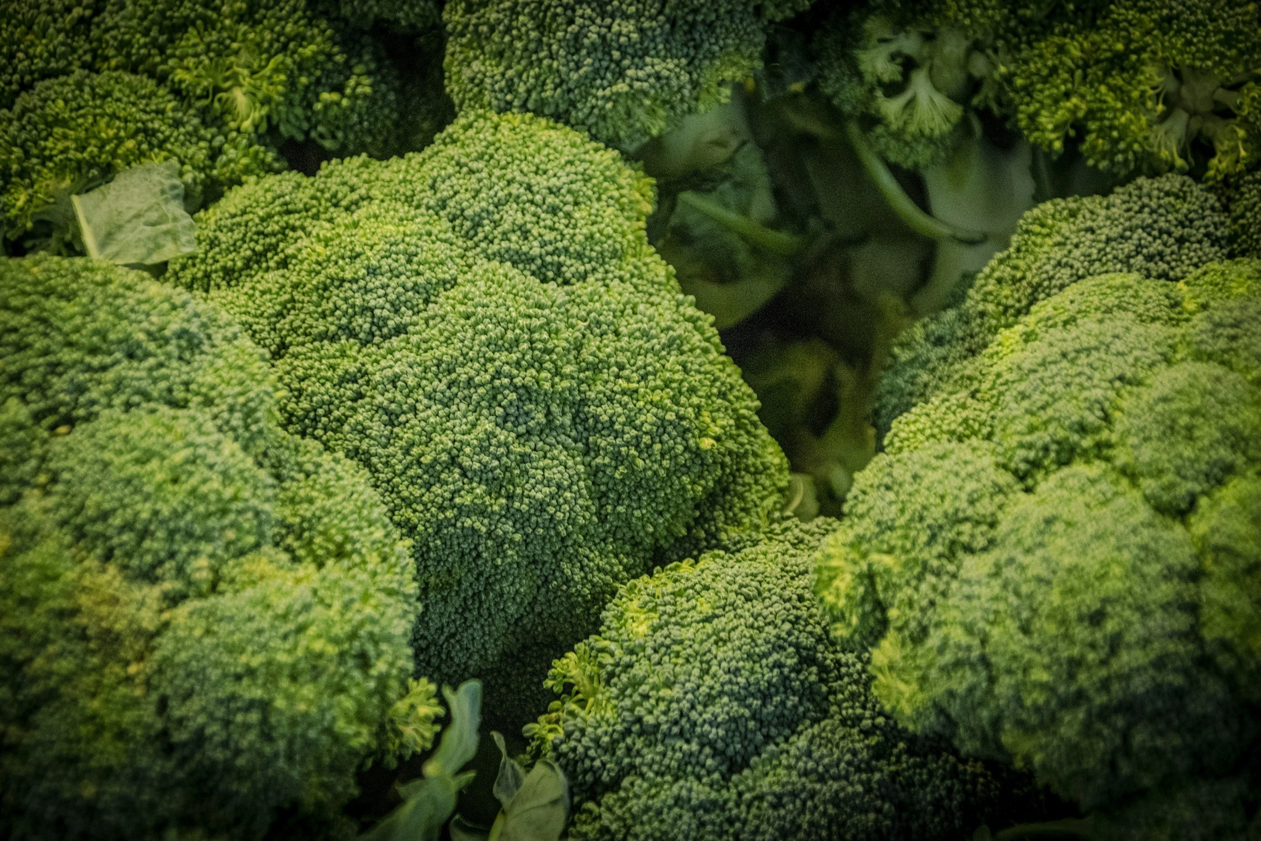 Green Broccoli