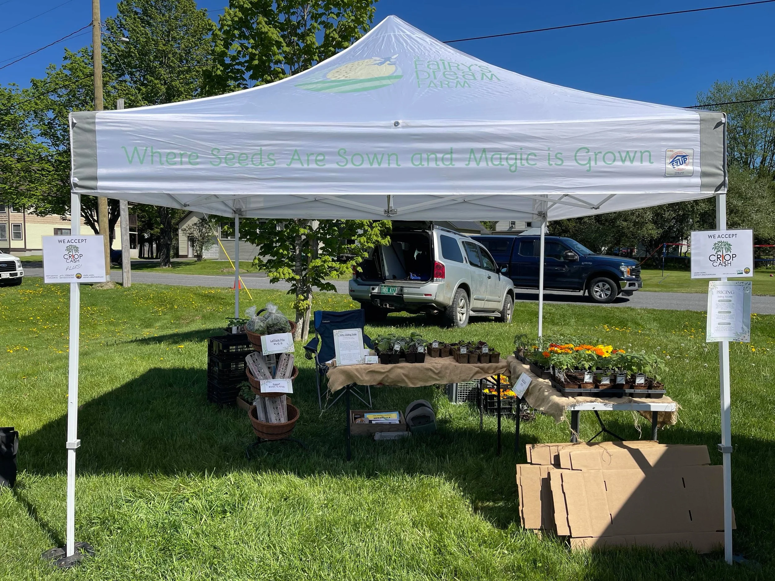 Thank you to all who attended the @hardwickfarmersmarket today! What a beautiful day for our first market. We&rsquo;ll see you again next week 💕

#marketseason #marketgardener #vermontbyvermonters #buylocal #knowyourfarmer