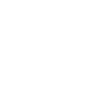 A target with an arrow hitting the bullseye in the center.