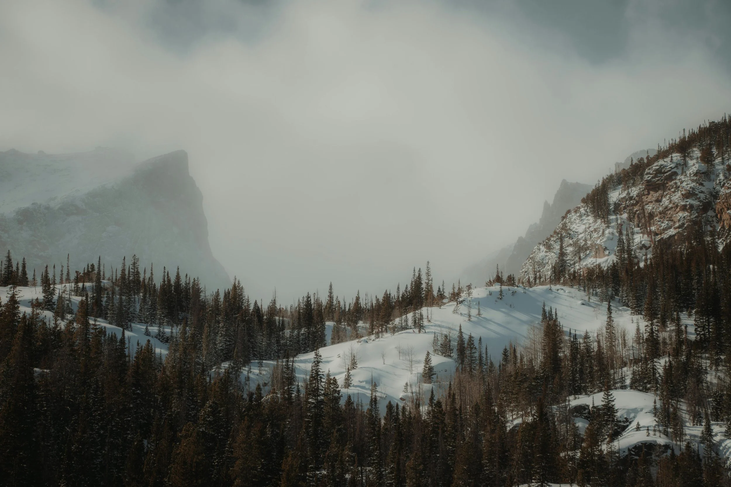 Snow-covered mountain landscape with evergreen trees and cloudy sky.