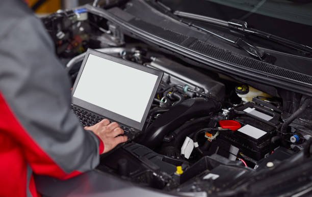 istockphoto-1367581969-612x612.jpg