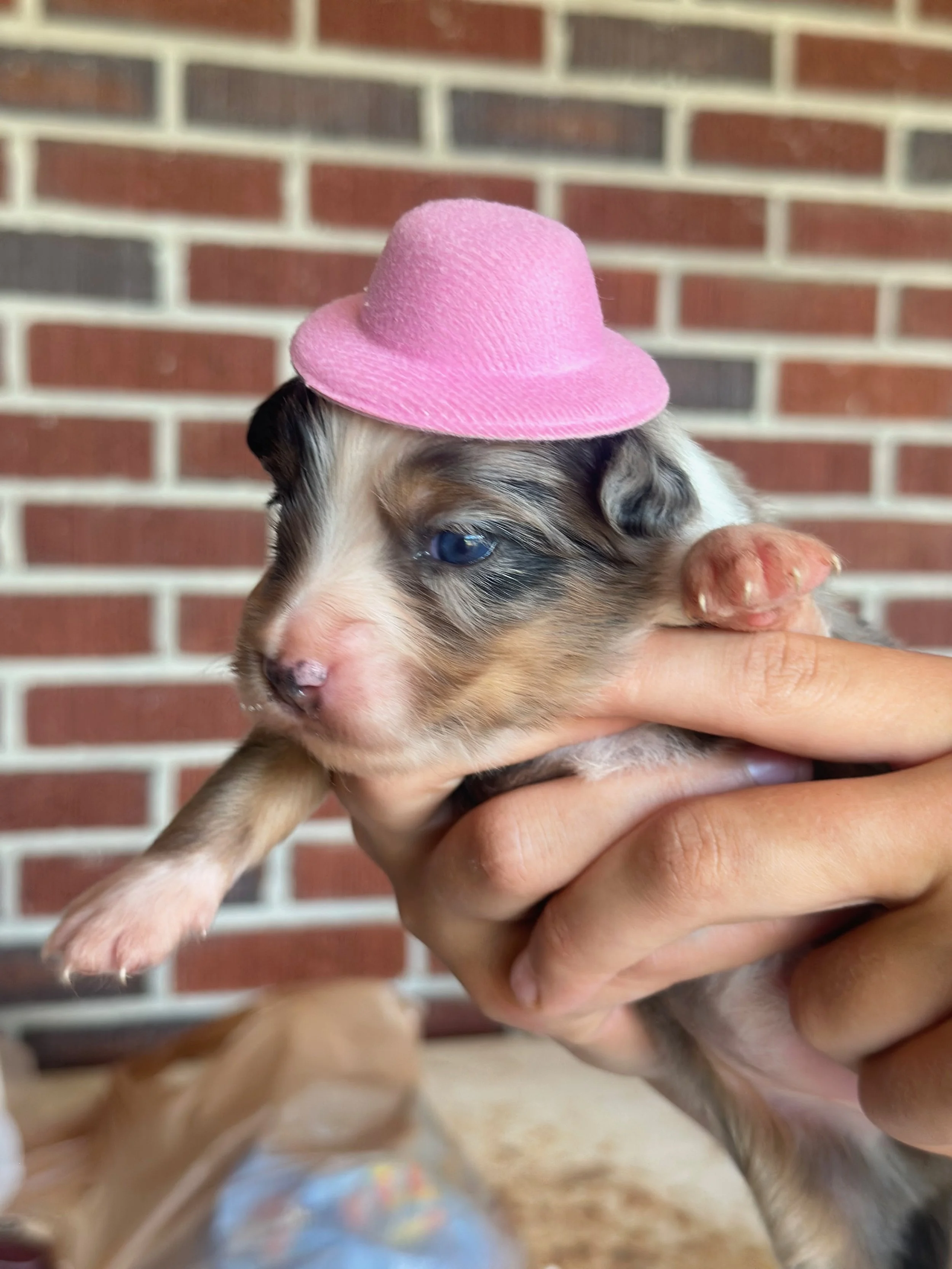 Jackie Playing Dress-up