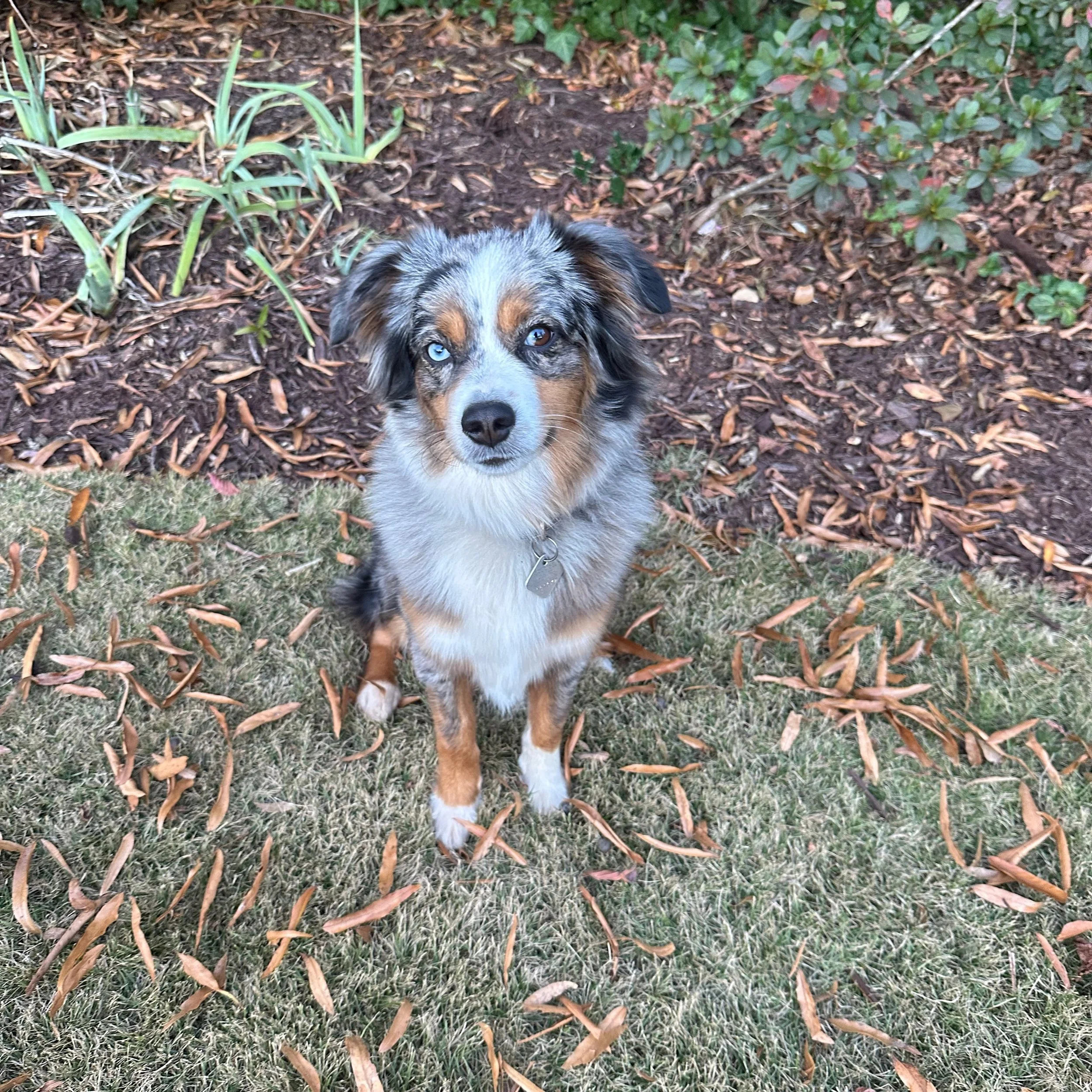 Maddy (Mayzie/Chester)