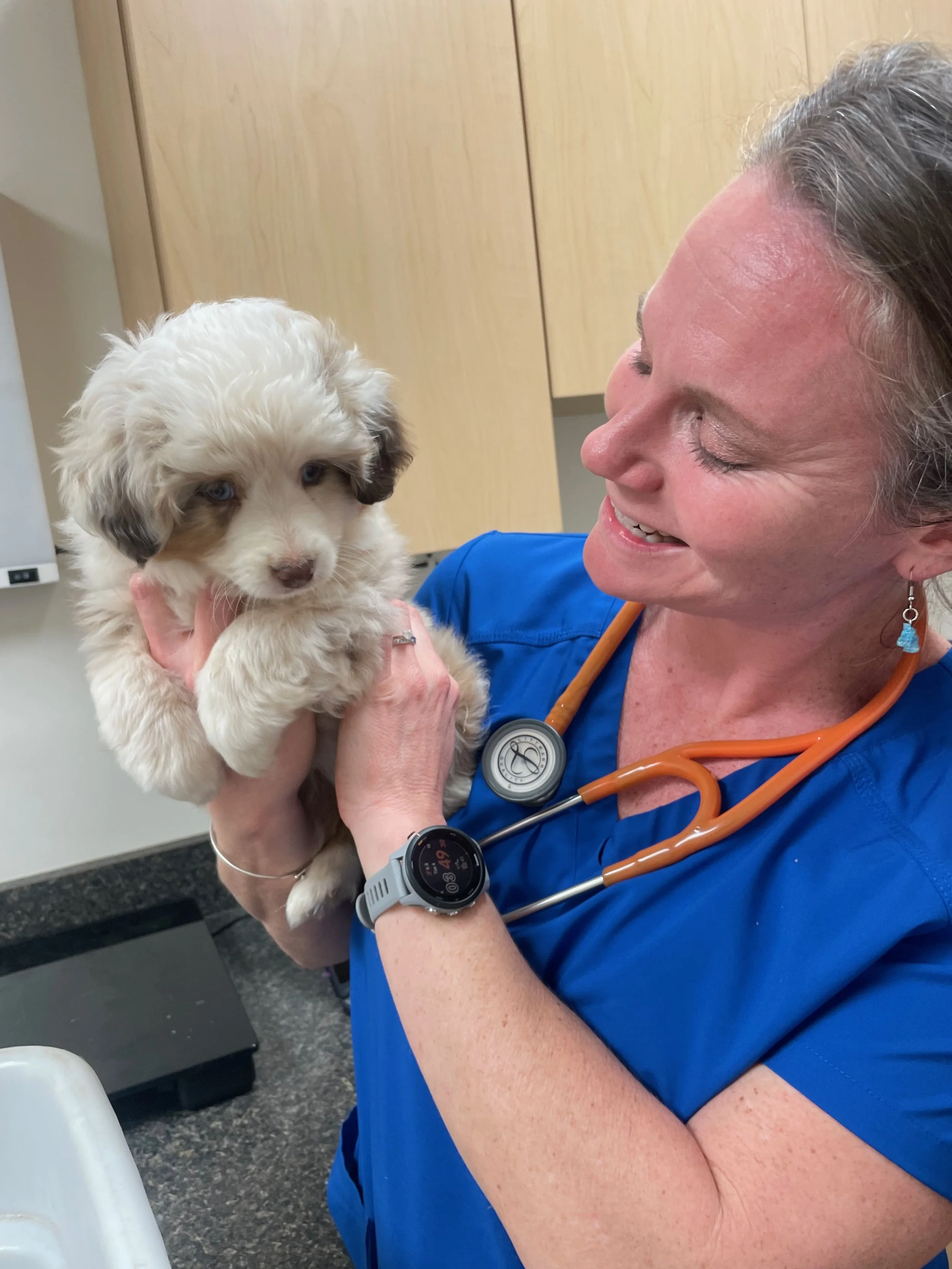 Belle (Brooke Chester)