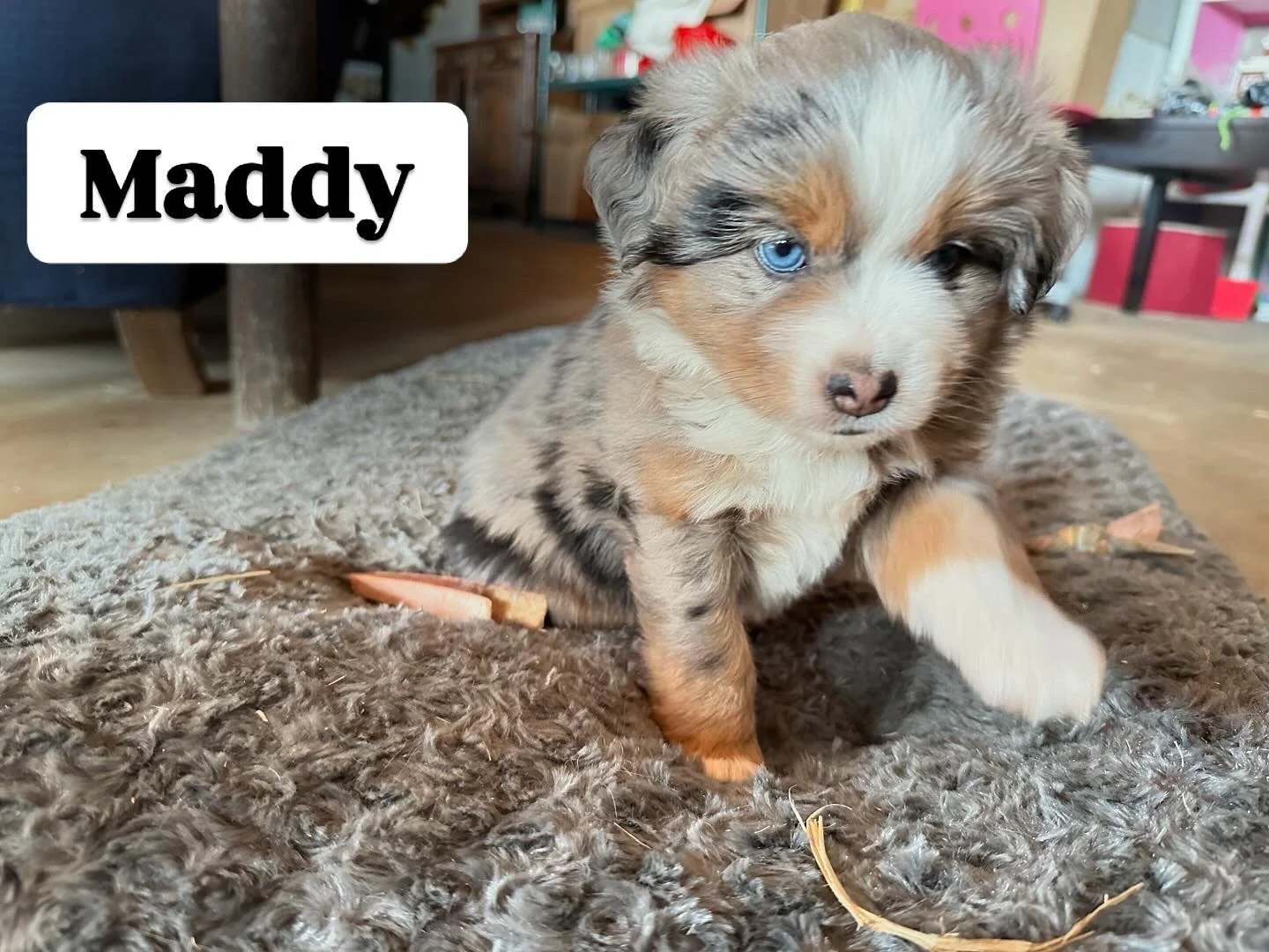 Maddy (Mayzie/Chester)