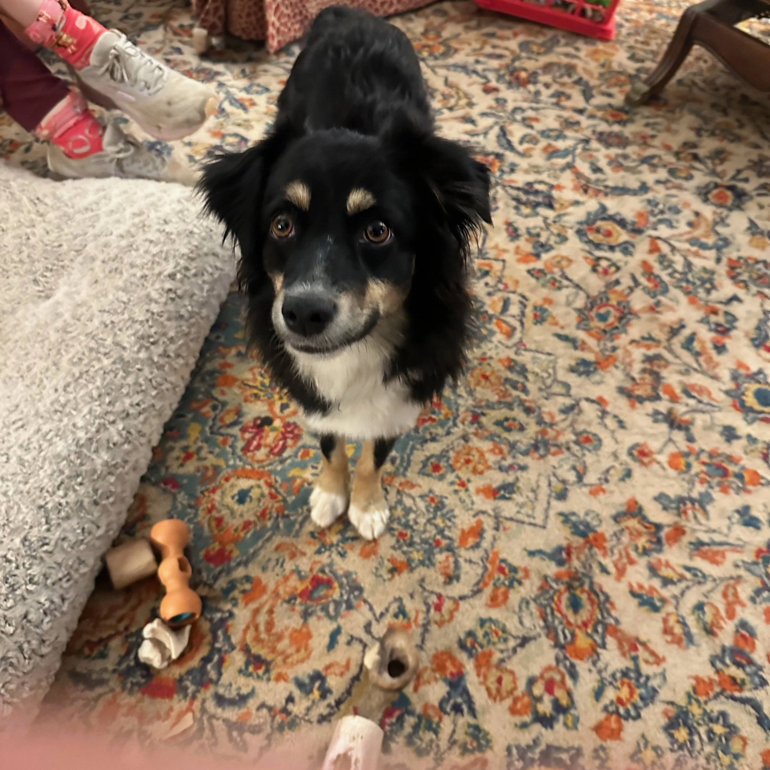 Holly- (Brooke/Chester)