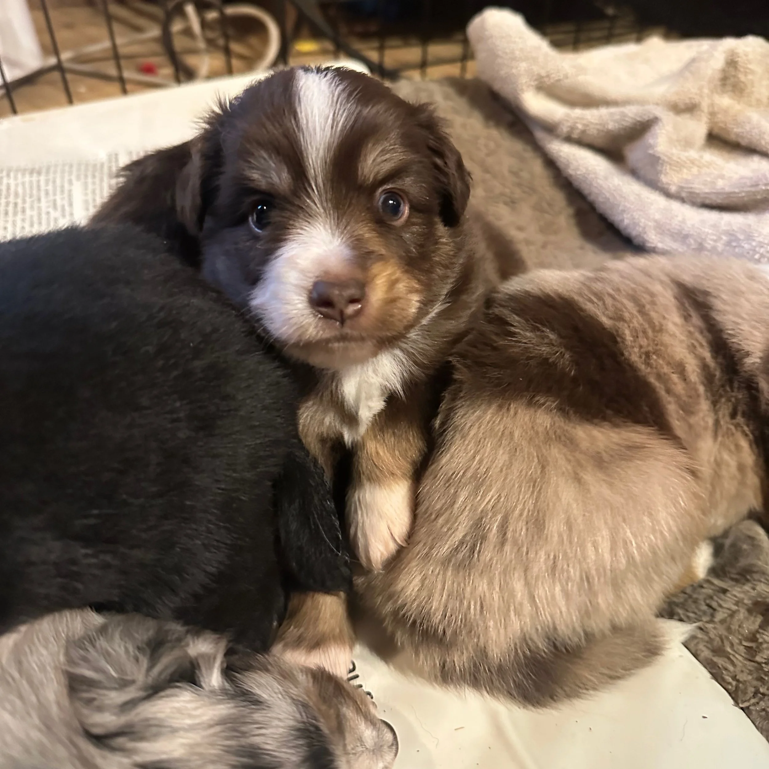 Rucker! (Mayzie/Chester)