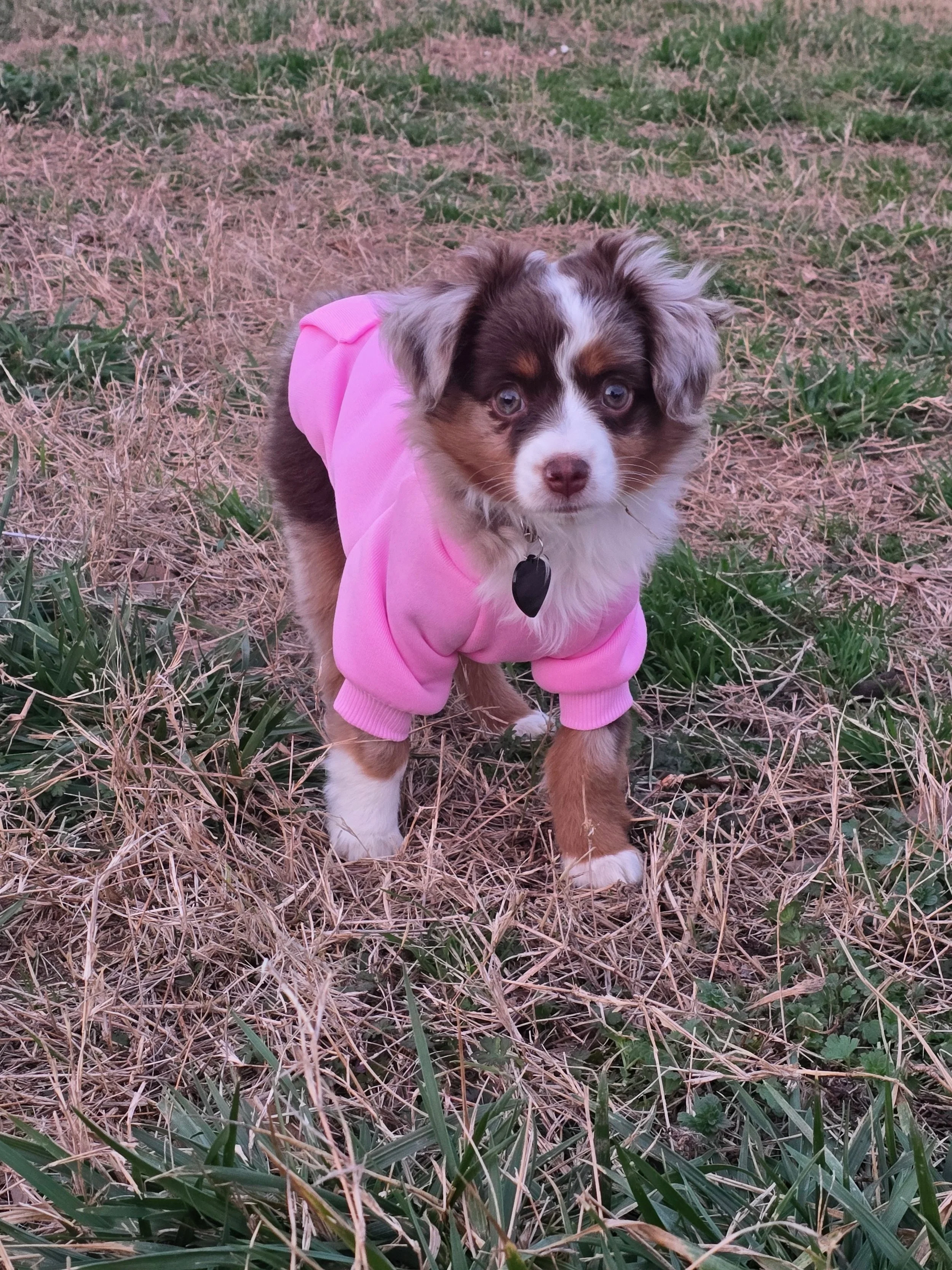 Avril- Out of Brooke/Chester