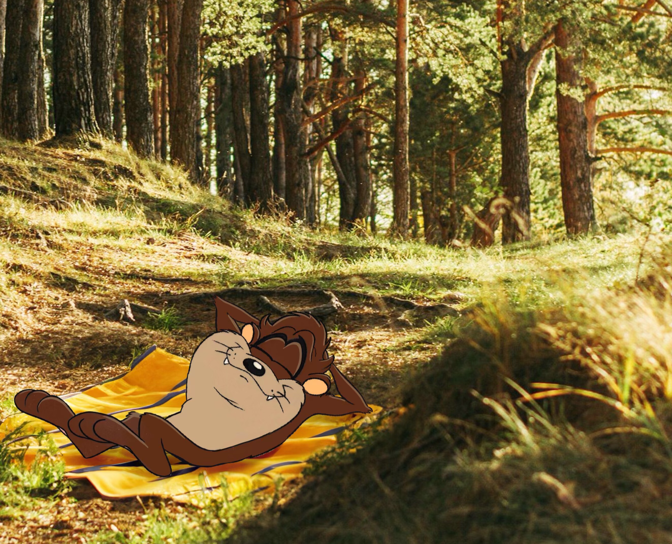 Traditional Medicinals