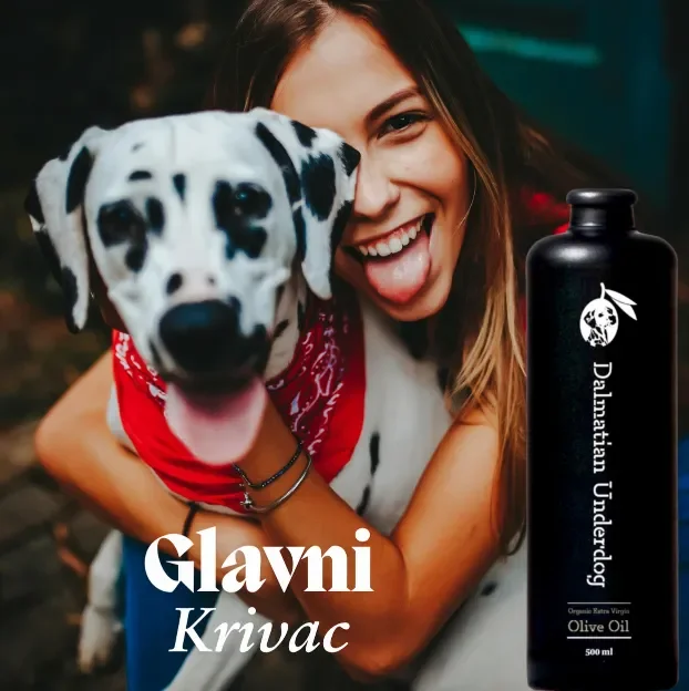 Woman hugging a Dalmatian dog beside Dalmatian Underdog 500ml organic extra virgin olive oil bottle from Zadar Croatia