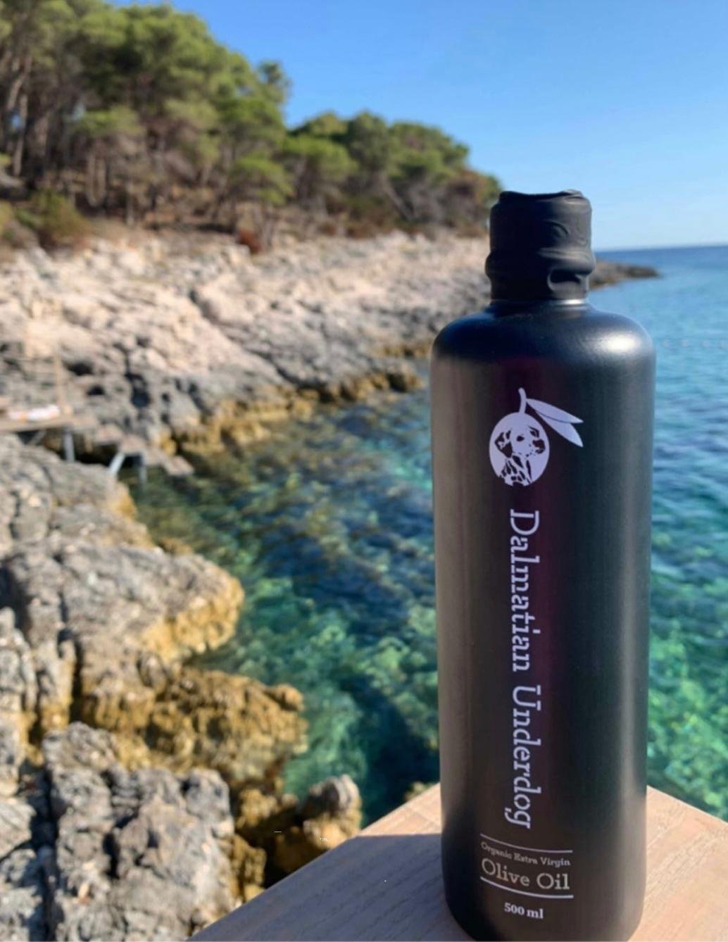 Dalmatian Underdog: Awarded Mastercard Uplift Scholarship for Zadar Olive Oil Excellence