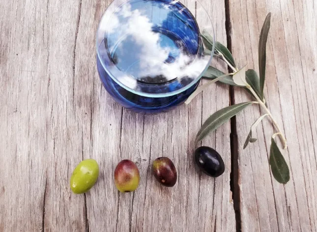 Blue tasting glass, olive sprig, and olives at different ripeness stages on a wooden table in Croatia
