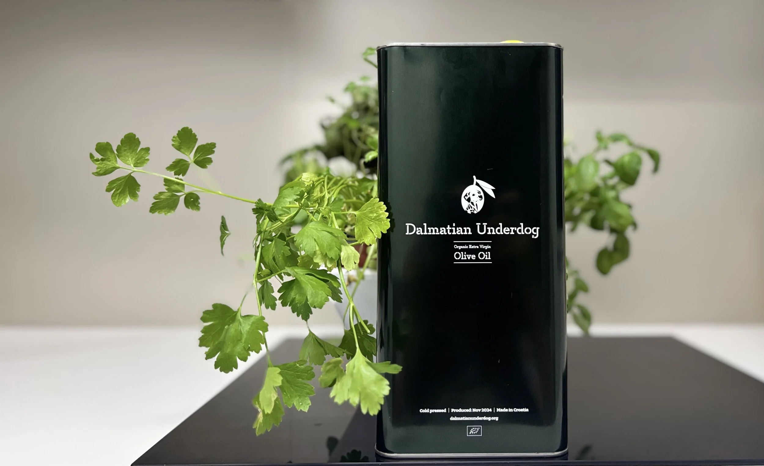 Dalmatian Underdog 5L organic extra virgin olive oil tin from Zadar Croatia