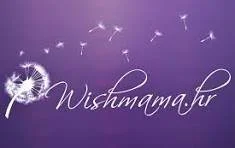 Dalmatian Underdog recognized by WishMama as a top Croatian entrepreneur and recipient of the Mastercard Uplift scholarship.