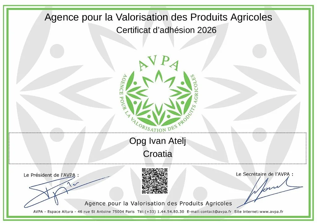 AVPA 2026 membership certificate for OPG Ivan Atelj Croatian olive oil