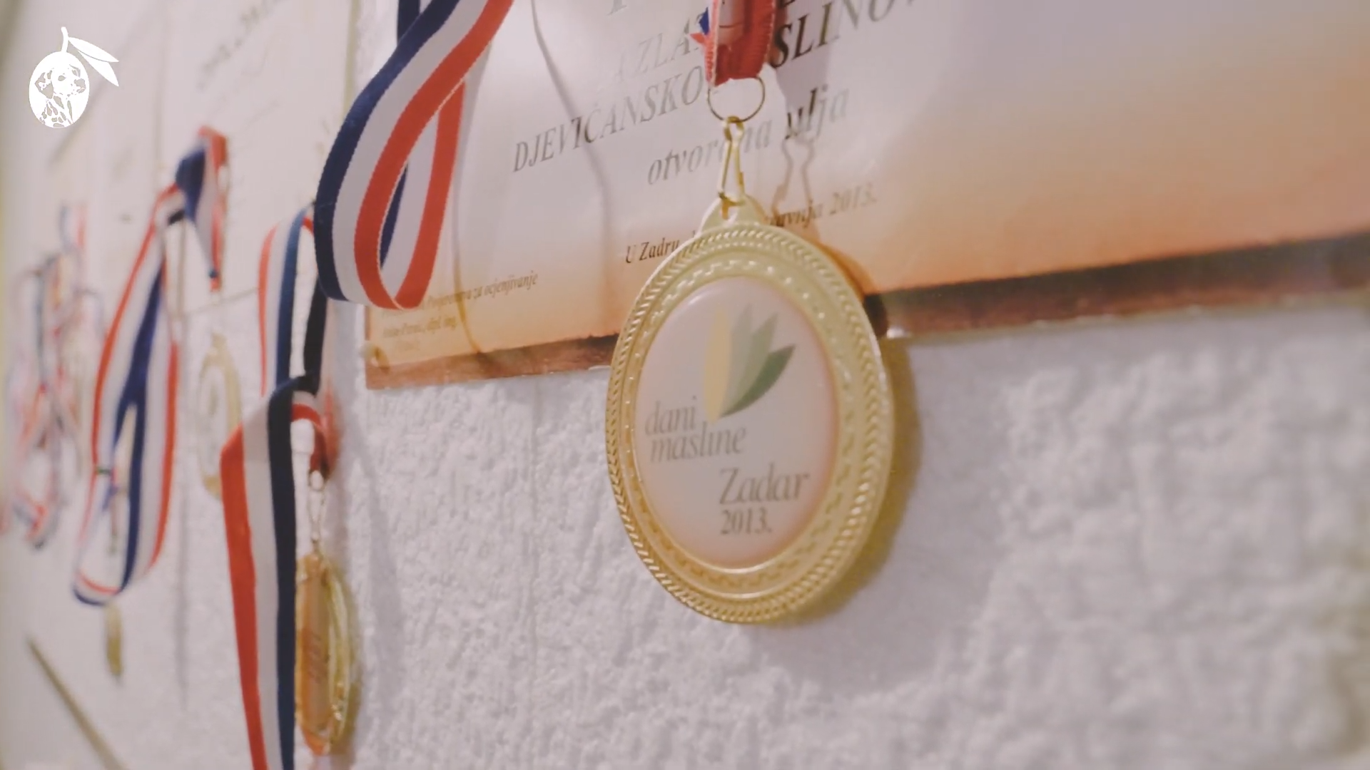 Gold medal Dani Maslina Zadar award winning olive oil Croatia