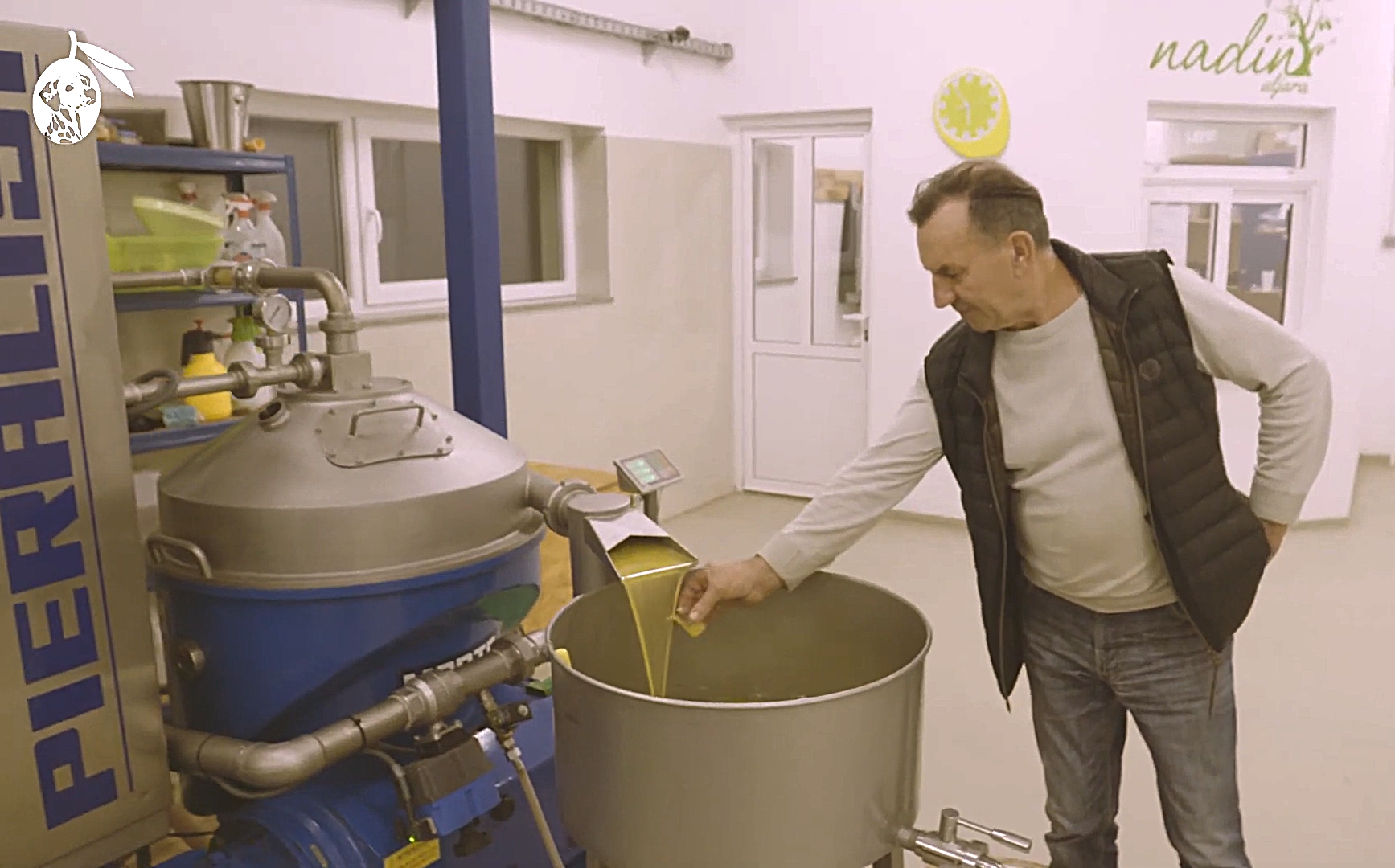 Organic olive oil production in Nadin, Zadar Croatia by Dalmatian Underdog