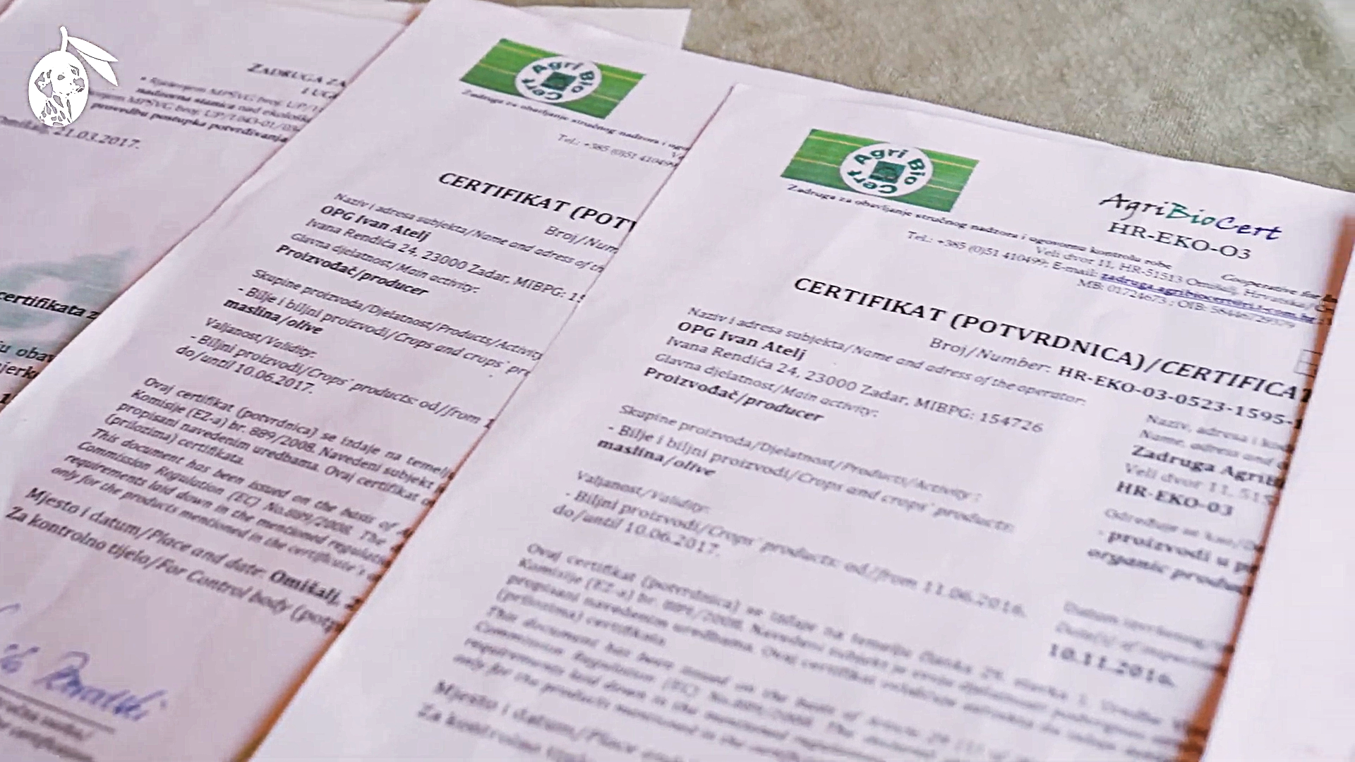 Organic certification documents for Dalmatian Underdog Bio olive oil from Nadin Zadar Croatia