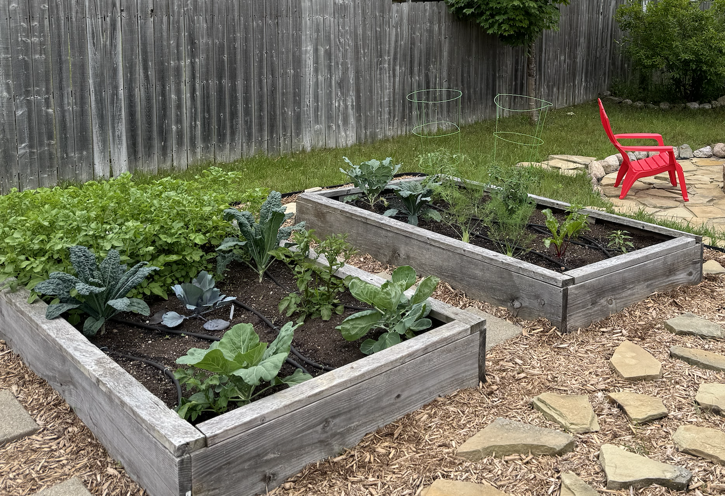 Raised Garden Beds