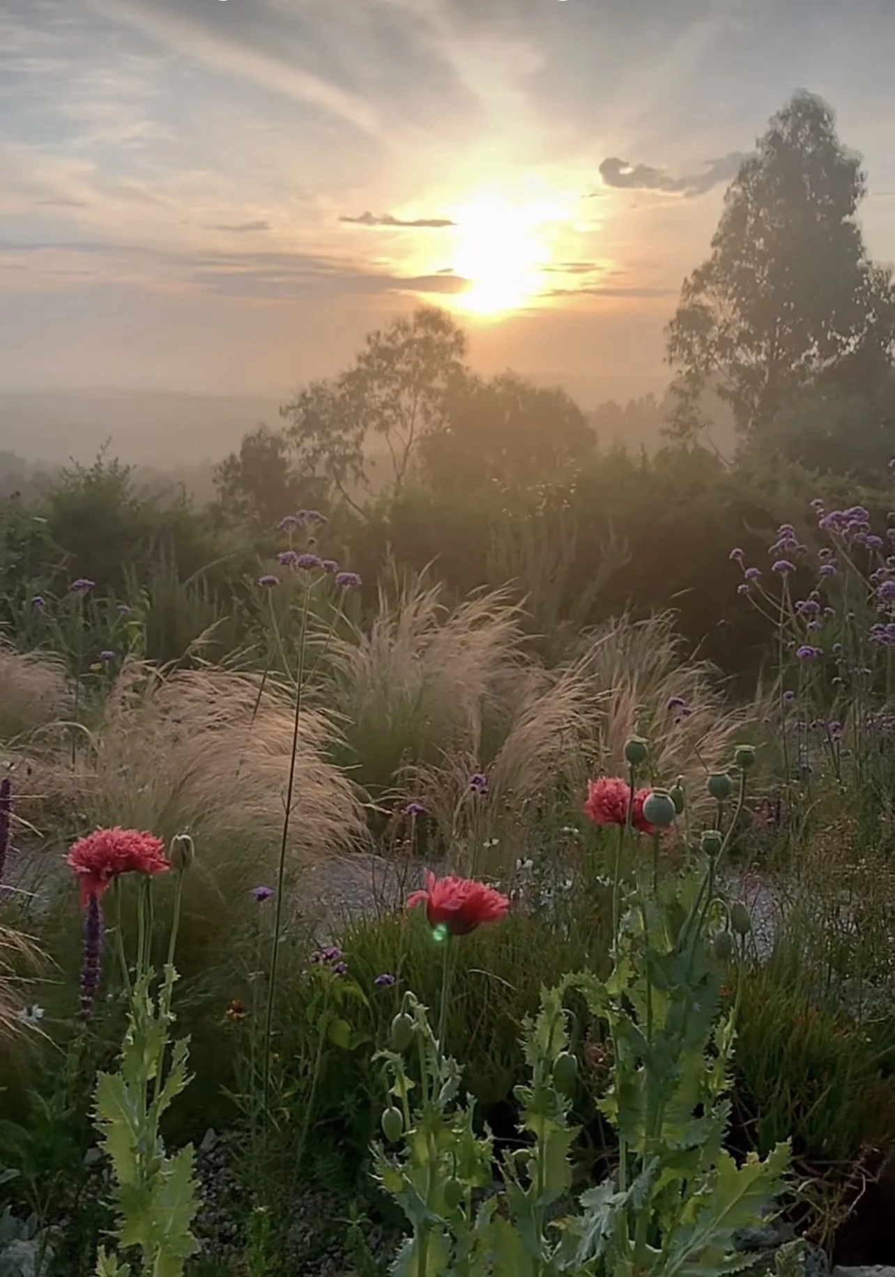 Scheduled Grief Time:  Giving Your Grief A Seat at the Table