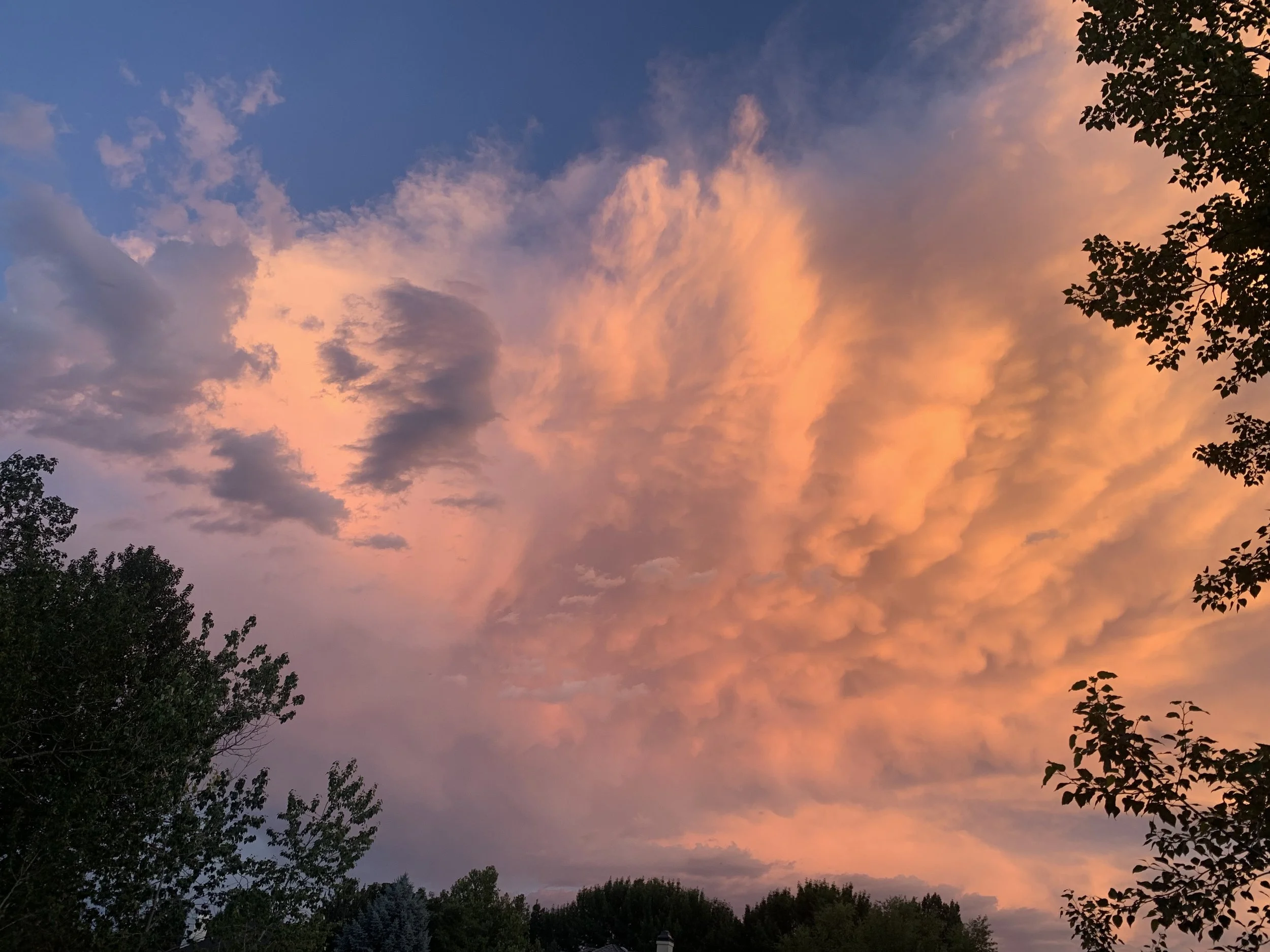 Beginning Steps - A Compass Back to Community