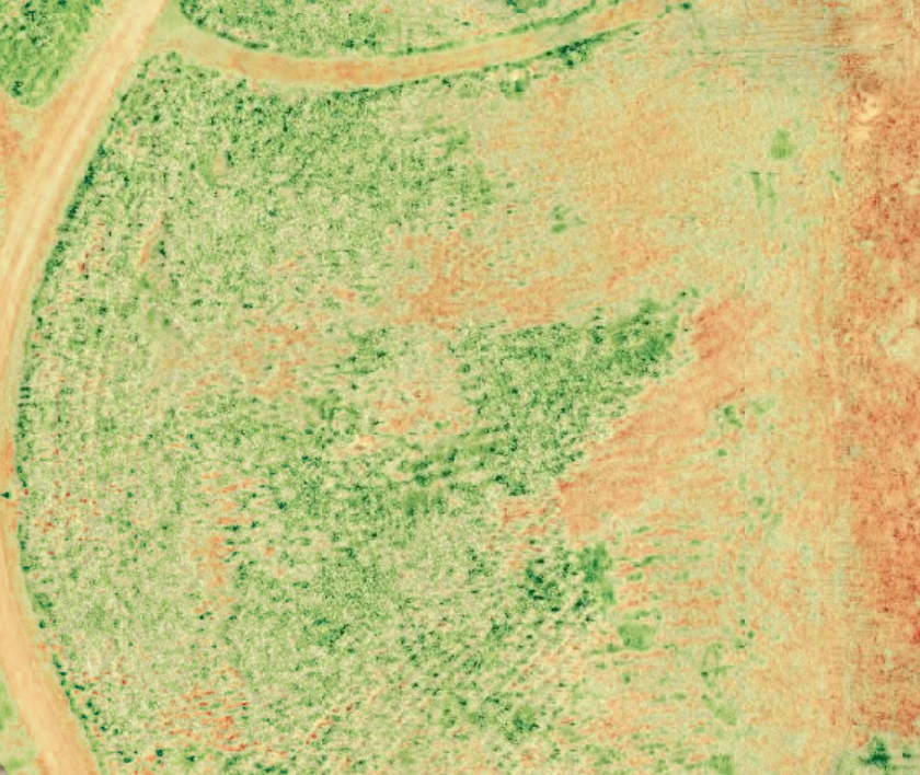 Getting Started with Drones & GIS in Your Botanic Garden