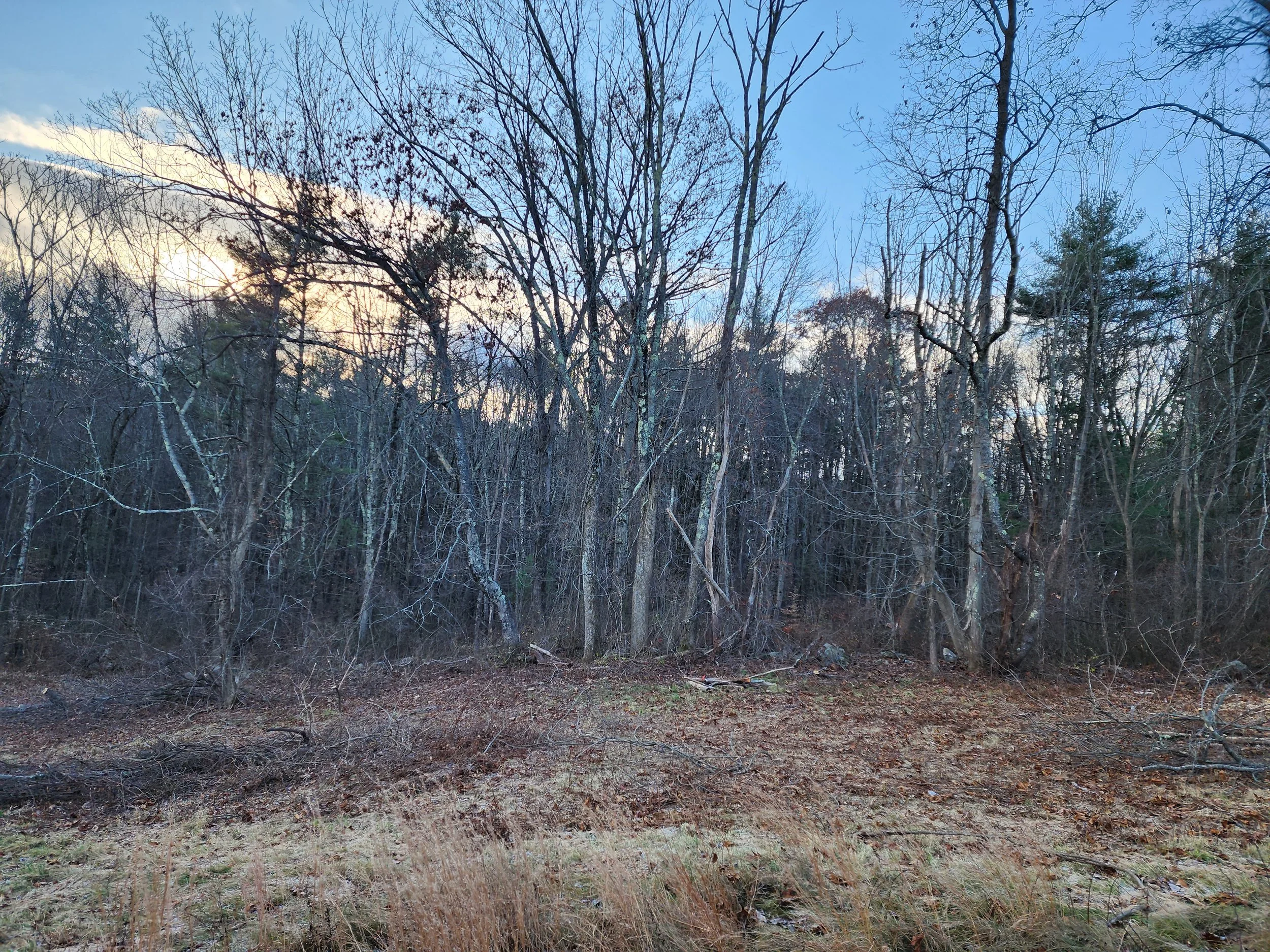 20231128_080913.jpg