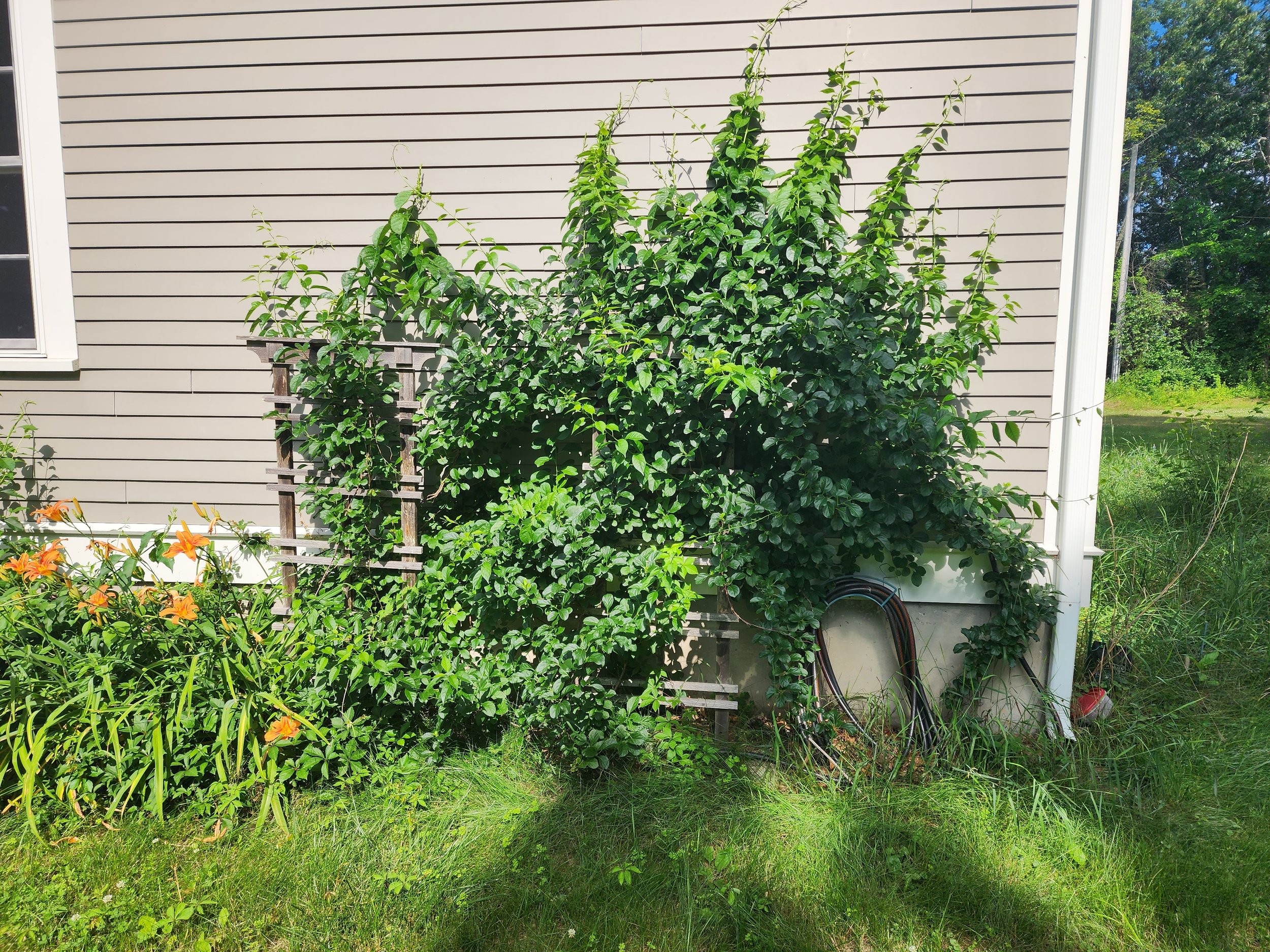 20230629_160938.jpg