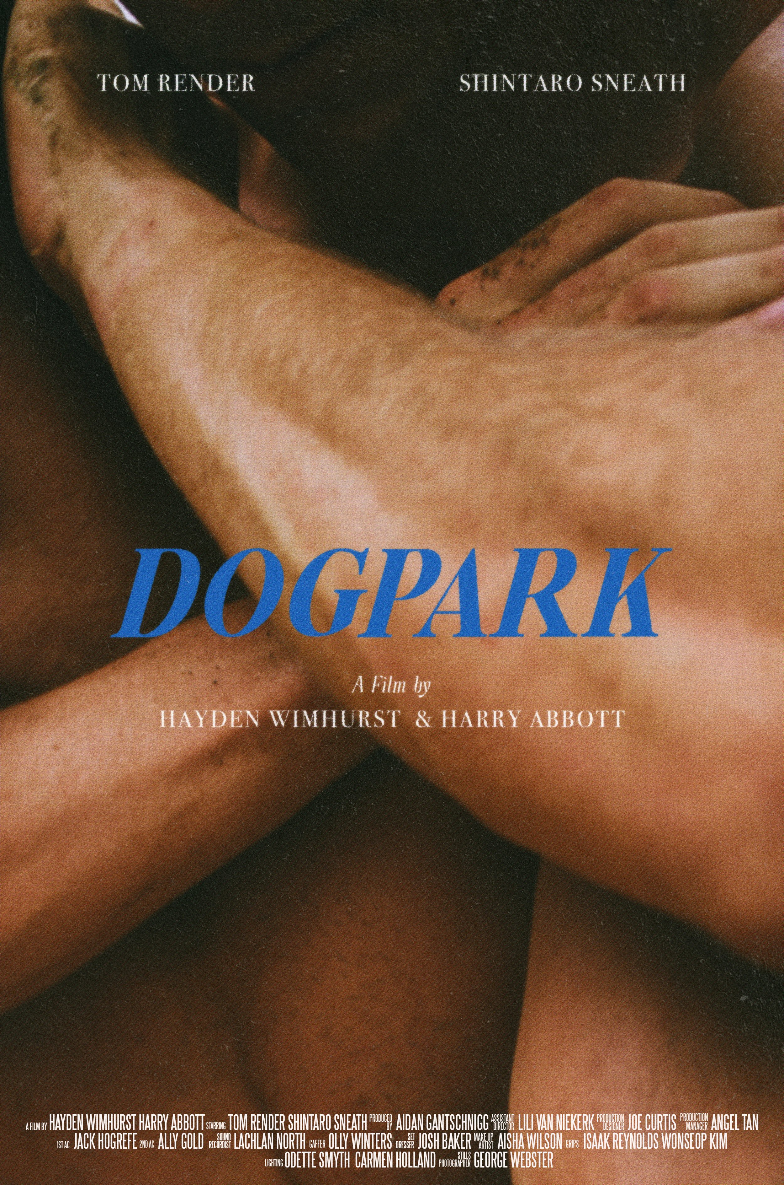 Close-up of intertwined arms and hands of multiple people, creating a textured, layered background. Overlaid text includes the movie title 'DOGPARK' in large blue letters, and credits for the film's creators and cast.