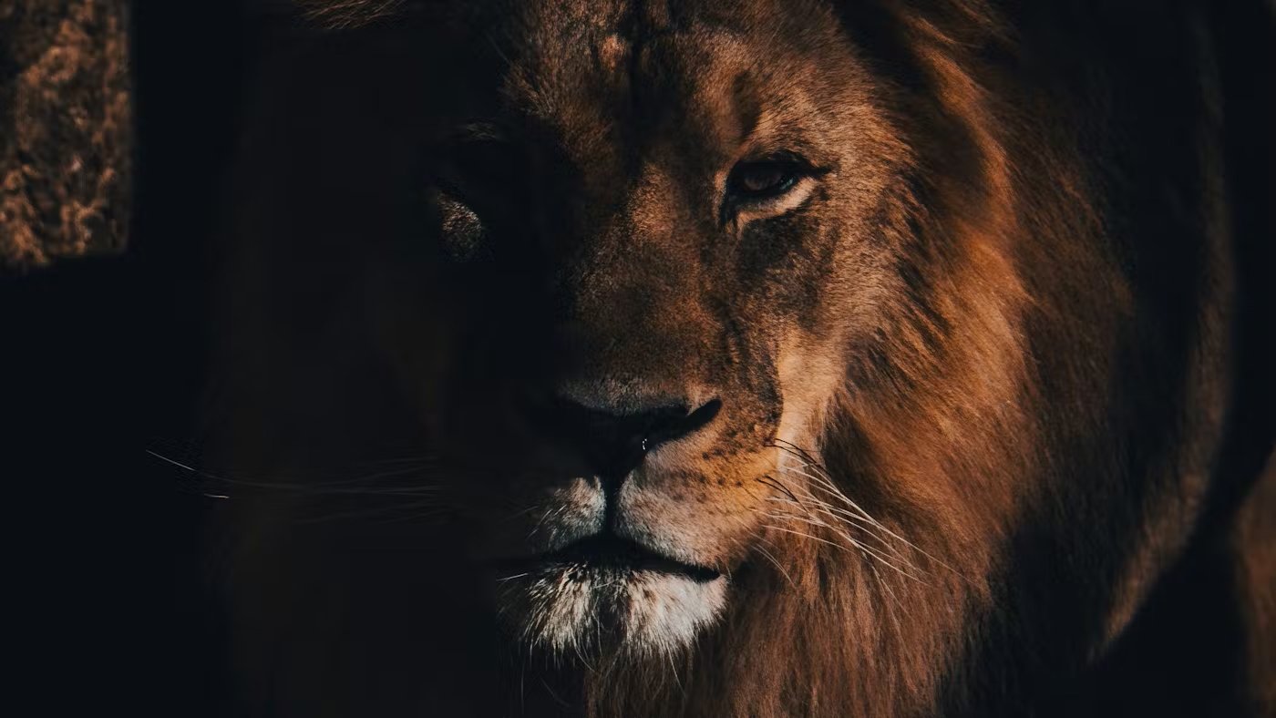 3 Reasons We Can Be Bold